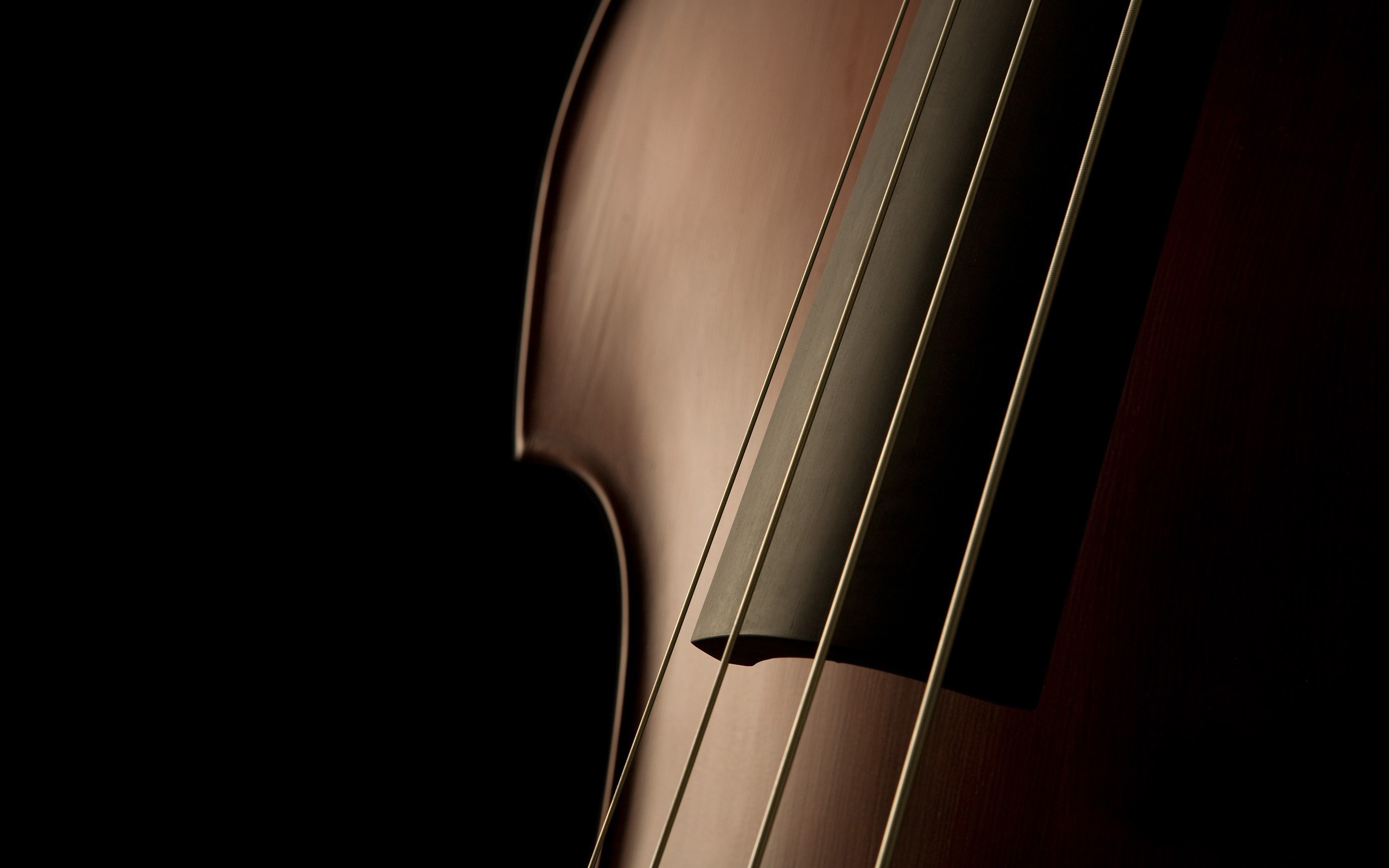 Contrabass Musical Instrument Simple Background 2560x1600