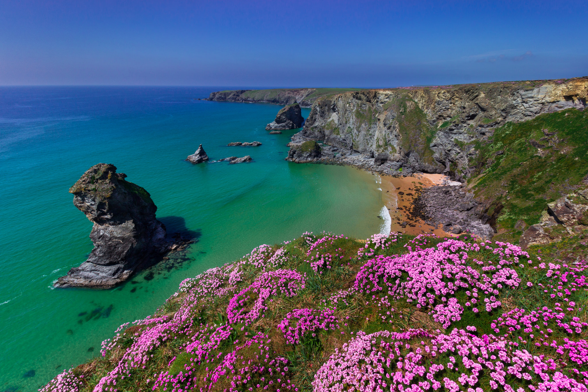 Earth Coastline Ocean Sea Flower Rock Cornwall England Purple Flower Horizon 2048x1365
