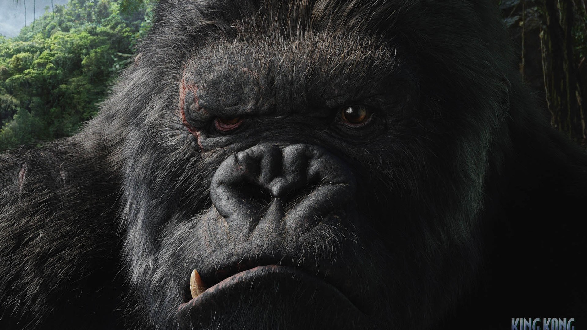 Movies King Kong 2005 Year Creature 1920x1080