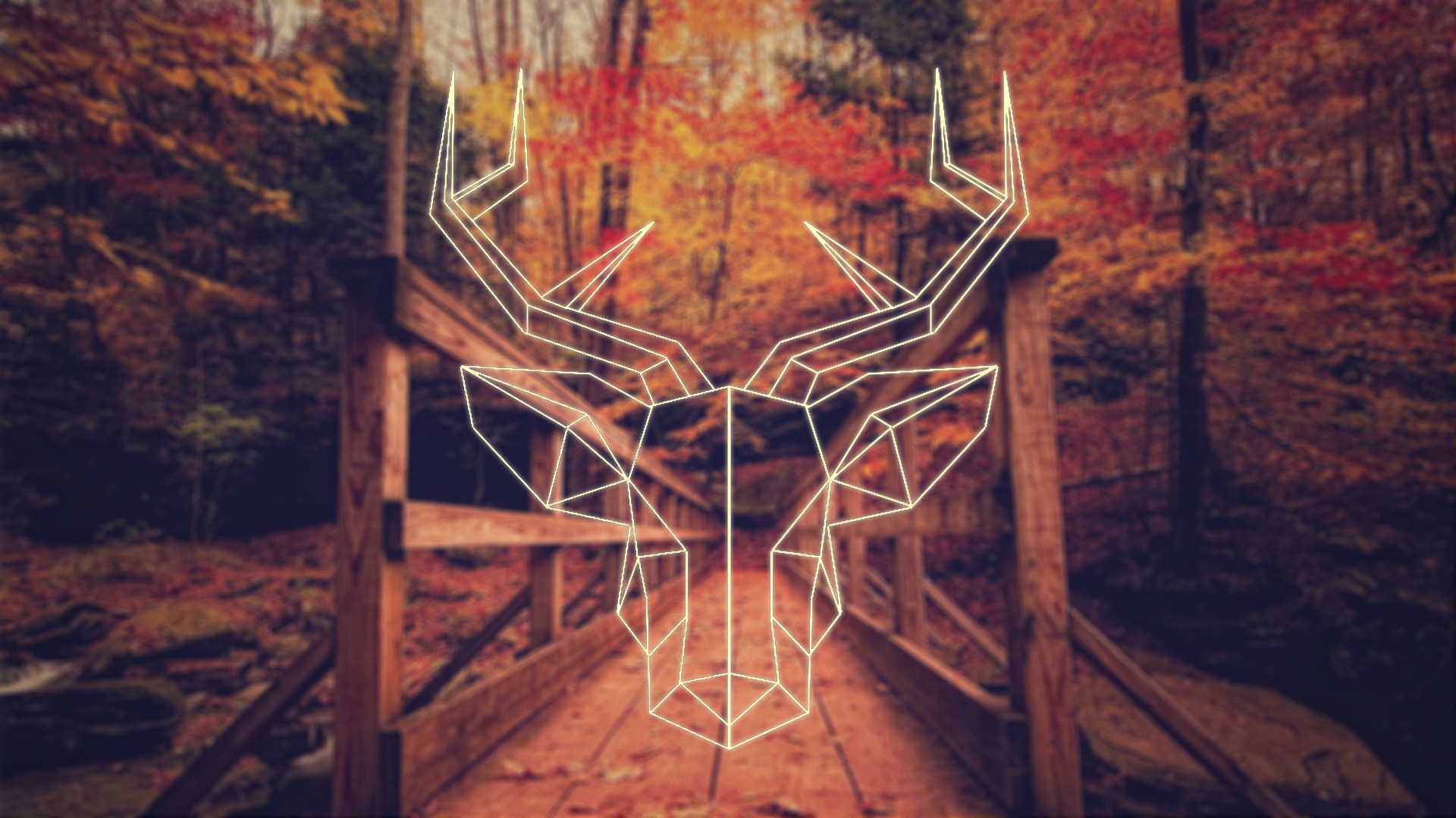 Fall Deer Polygon Art Nature 1920x1080