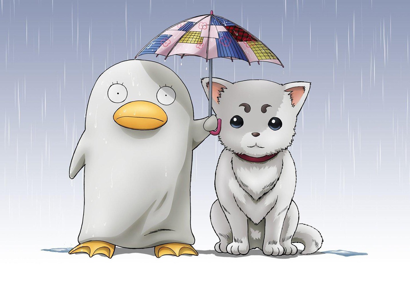 Anime Simple Background Umbrella Duck Puppies Gintama Sadaharu 1433x1000