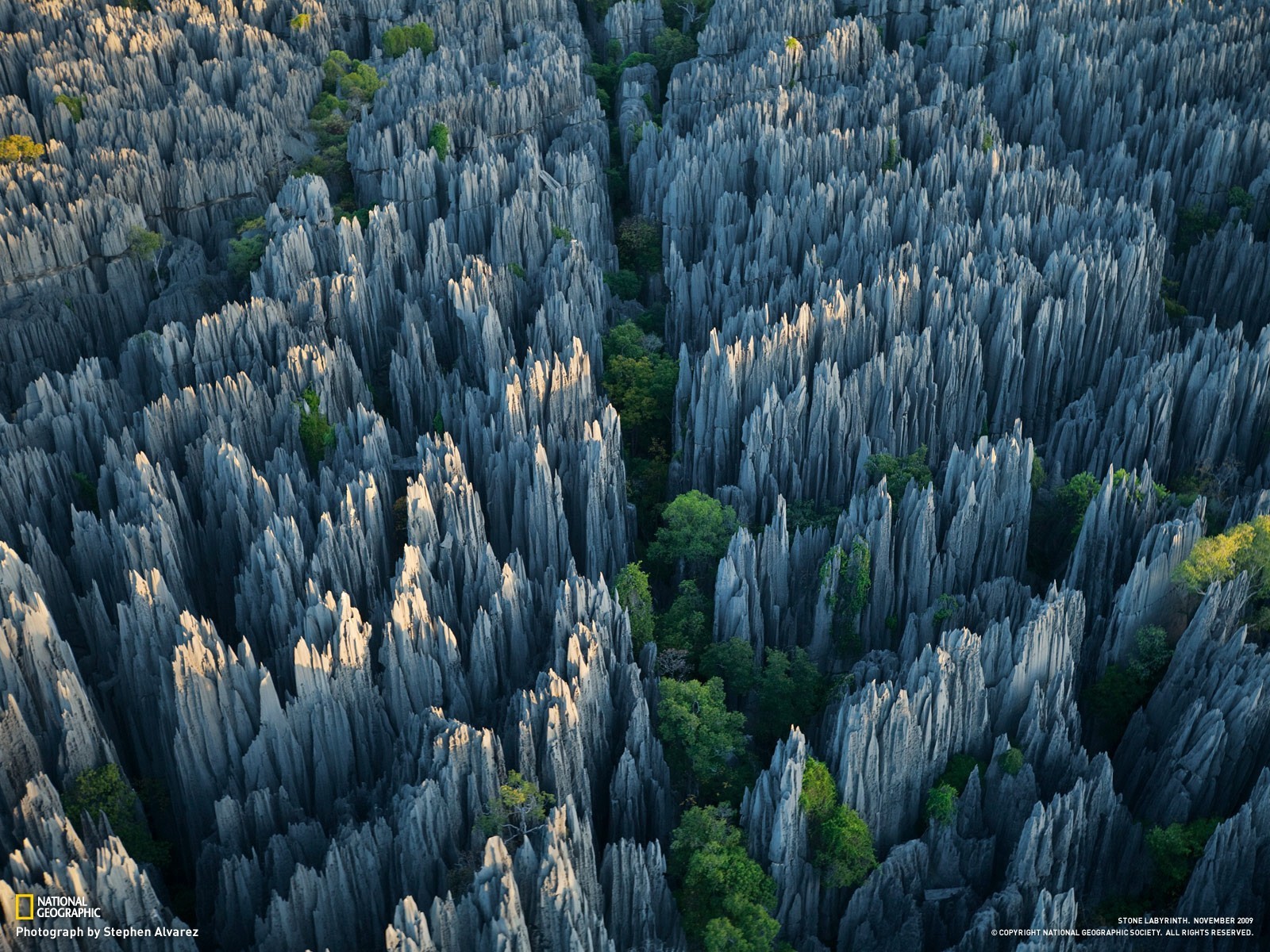Trees Grass Rock National Geographic 1600x1200
