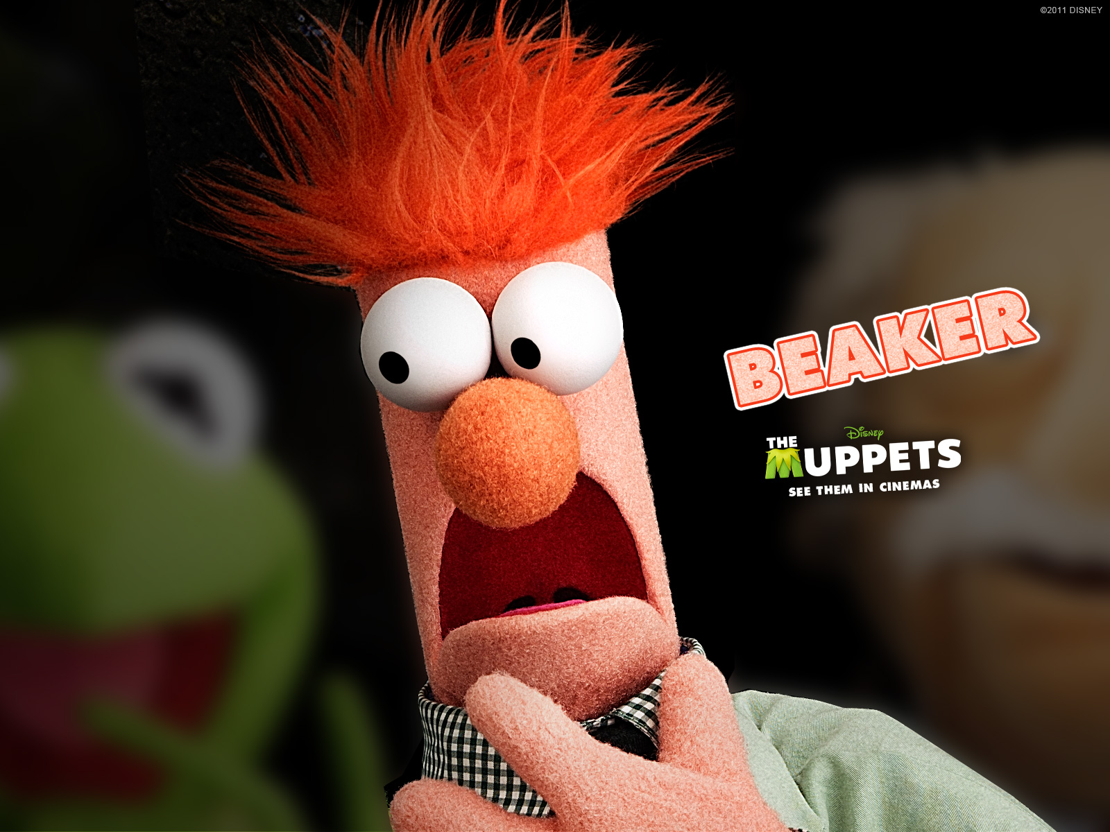 The Muppets TV Show 1600x1200