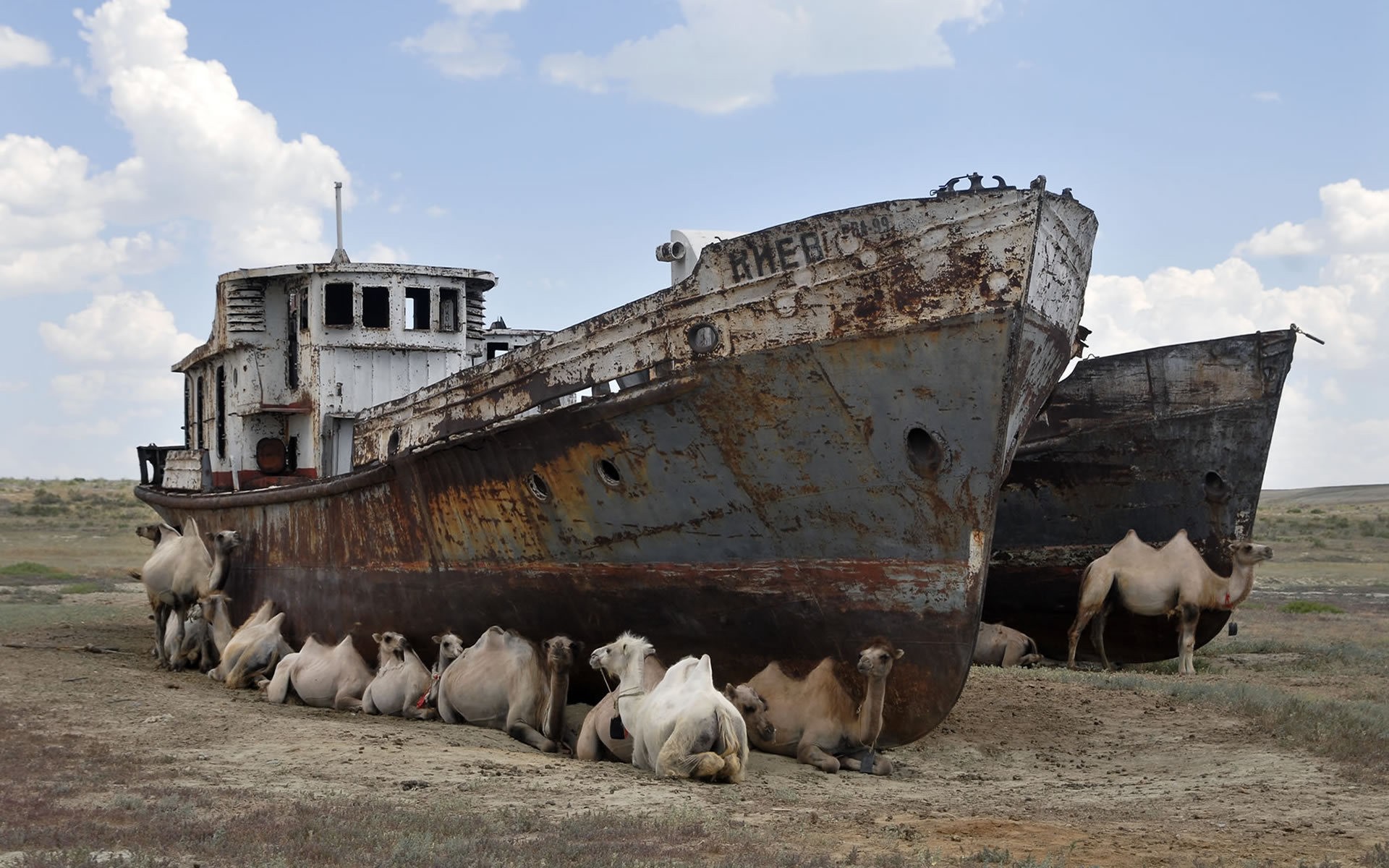 Wreck Vehicle Ship Camels 1920x1200