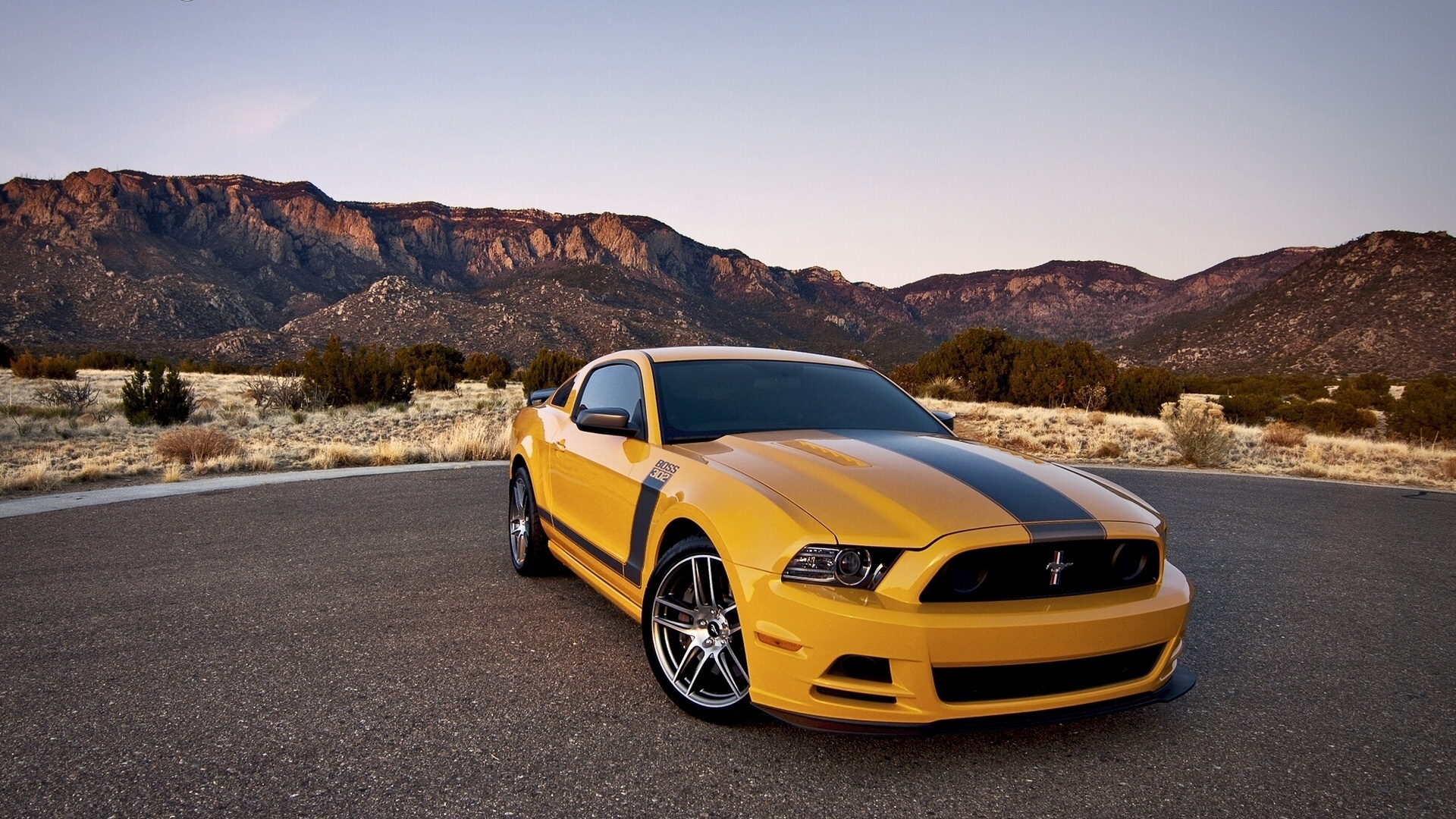 Vehicles Ford Mustang Shelby 1920x1080