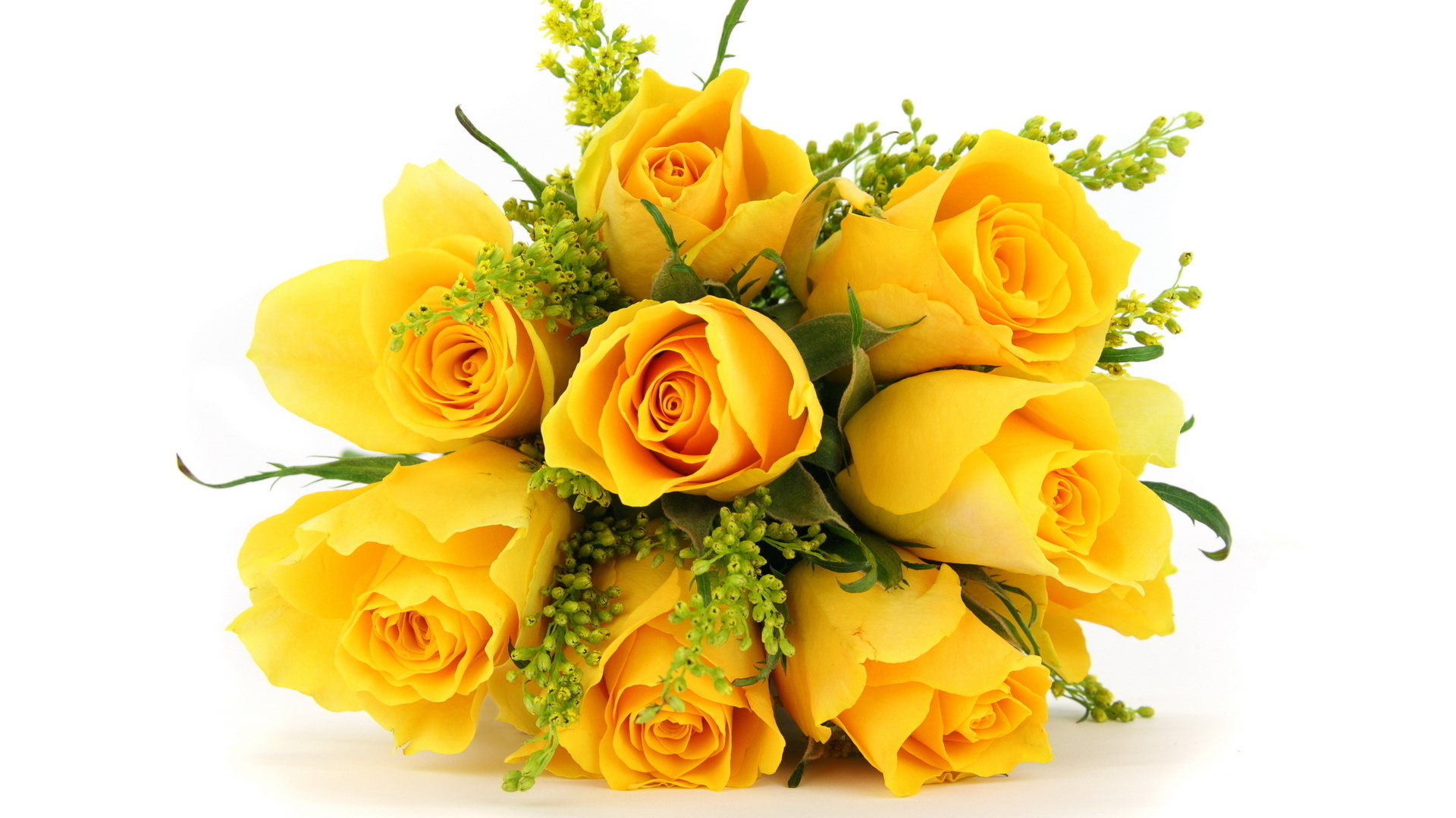 Rose Nature Flower Bouquet Yellow Flower Yellow Rose 1920x1080