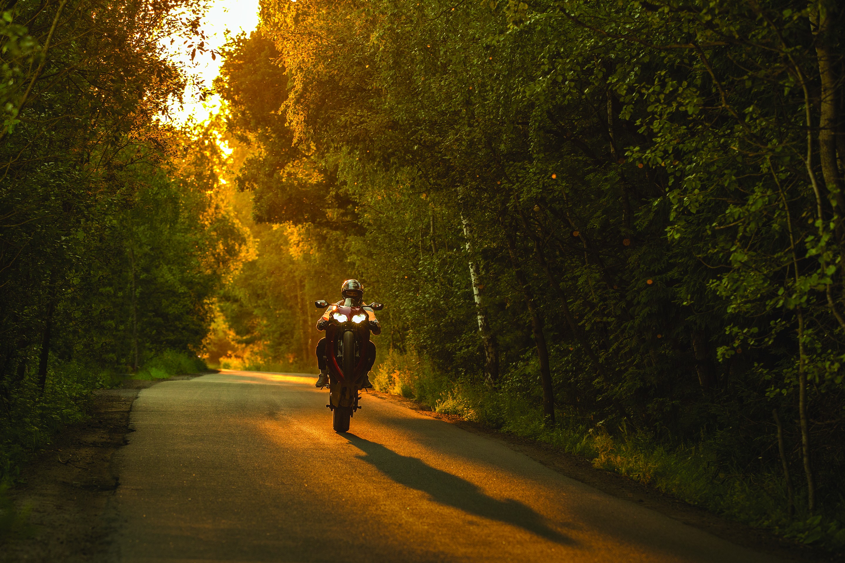 Motorcycle Nature Wheelie Sunset Honda Cbr 1000 Rr Road Forest Russia 2880x1920