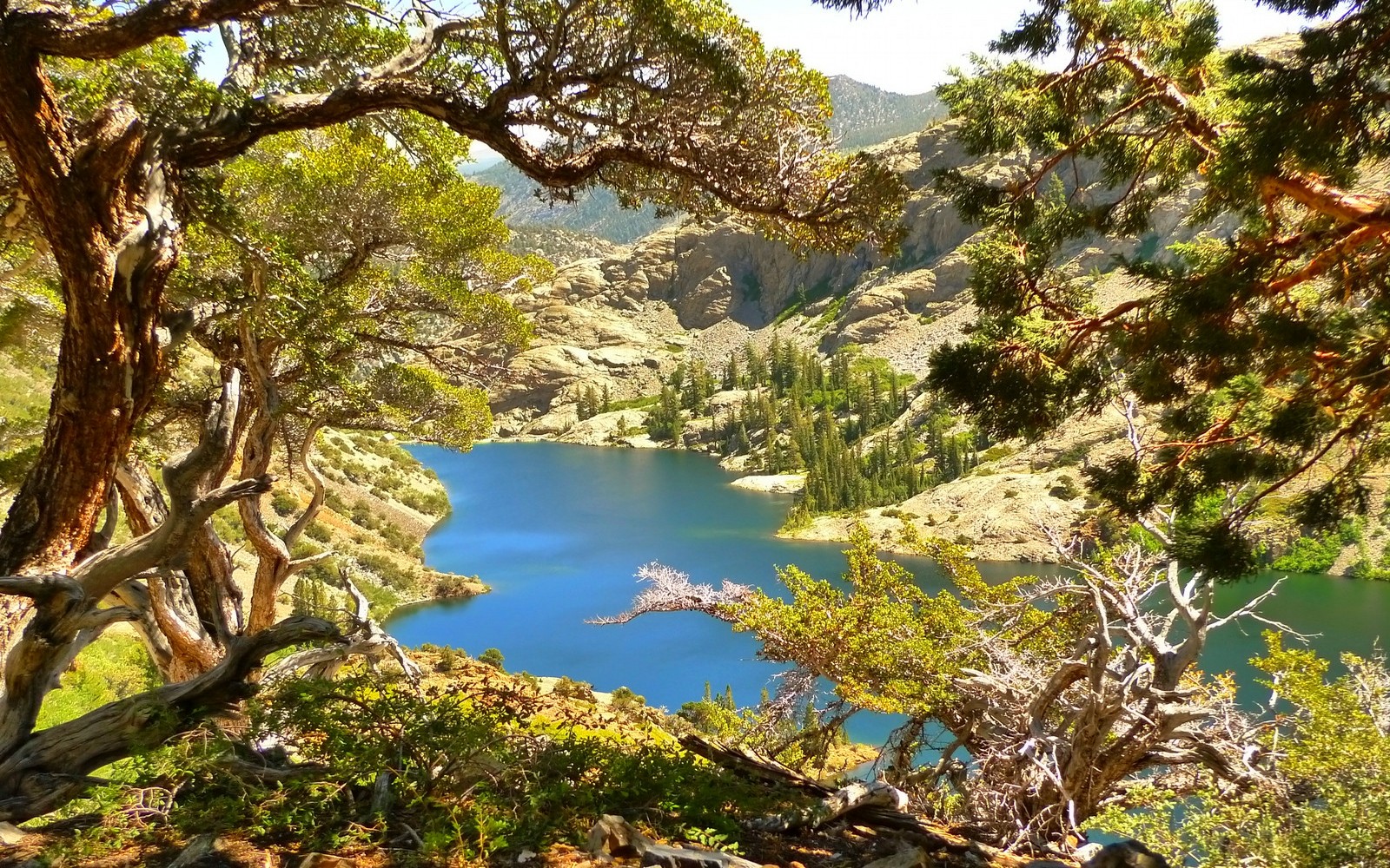 Photography Landscape Nature Lake Mountains Trees Summer Sierra Nevada California Vibrant 1600x1000