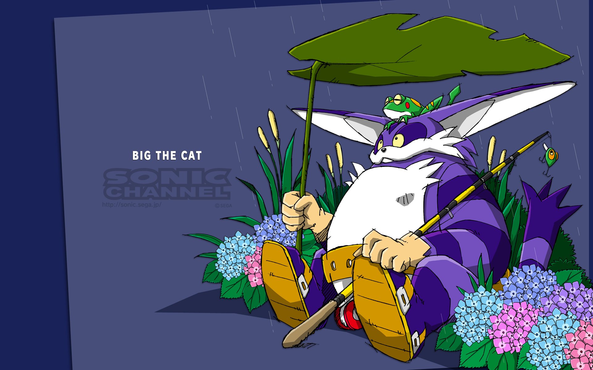 Big The Cat 1920x1200