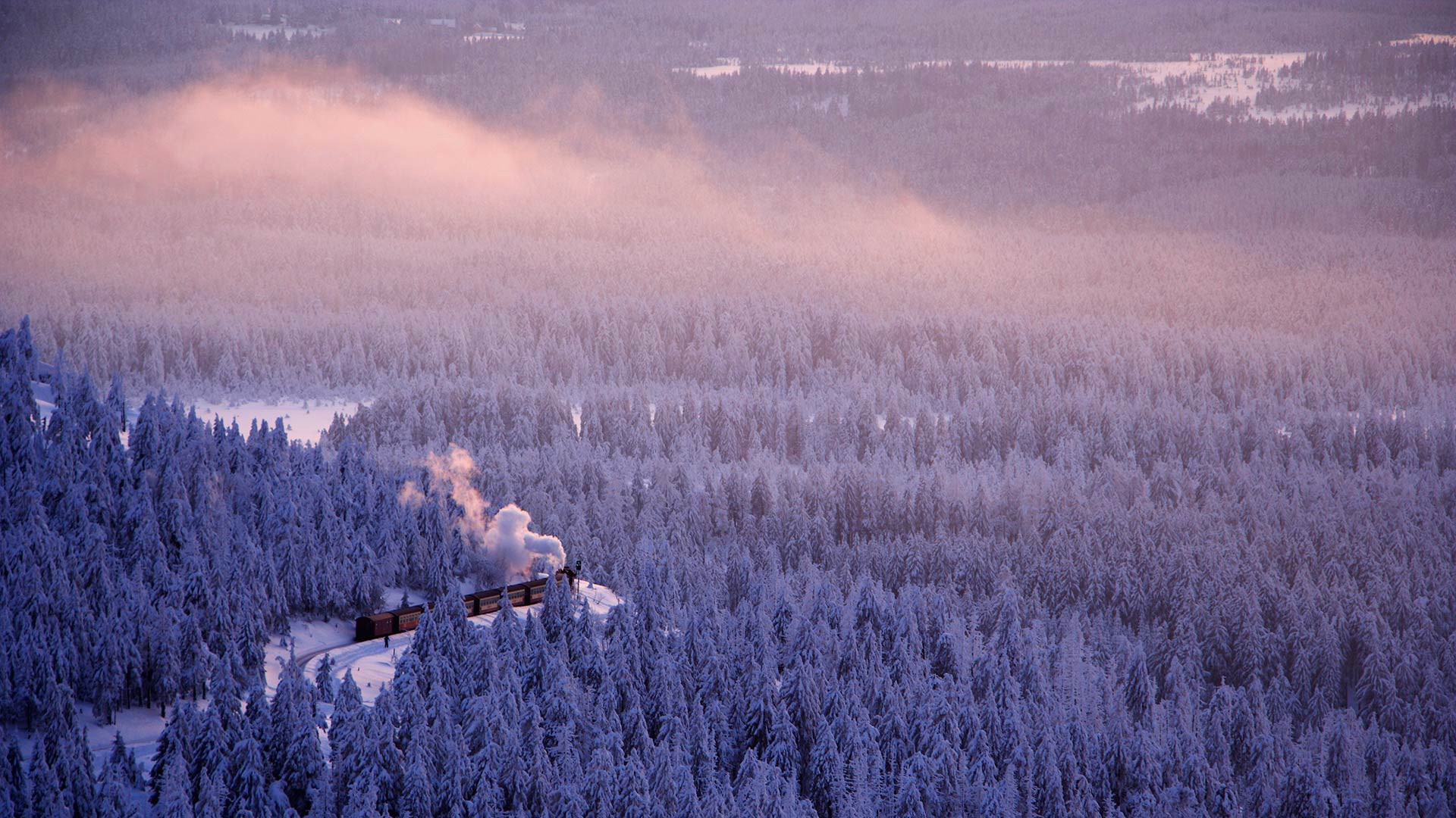 Landscape Snow Train Saxonia Germany Pine Trees Forest Nature Winter Mist Smoke Trees Cold Railway 1920x1080