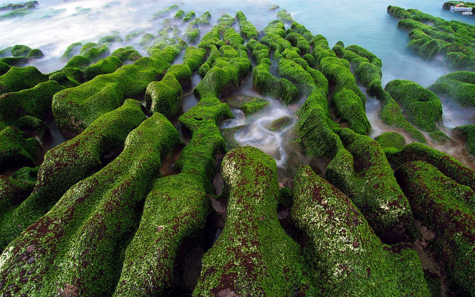 Taiwan Nature Landscape Water Sea Rock Algae Moss Green Long Exposure 1920x1200