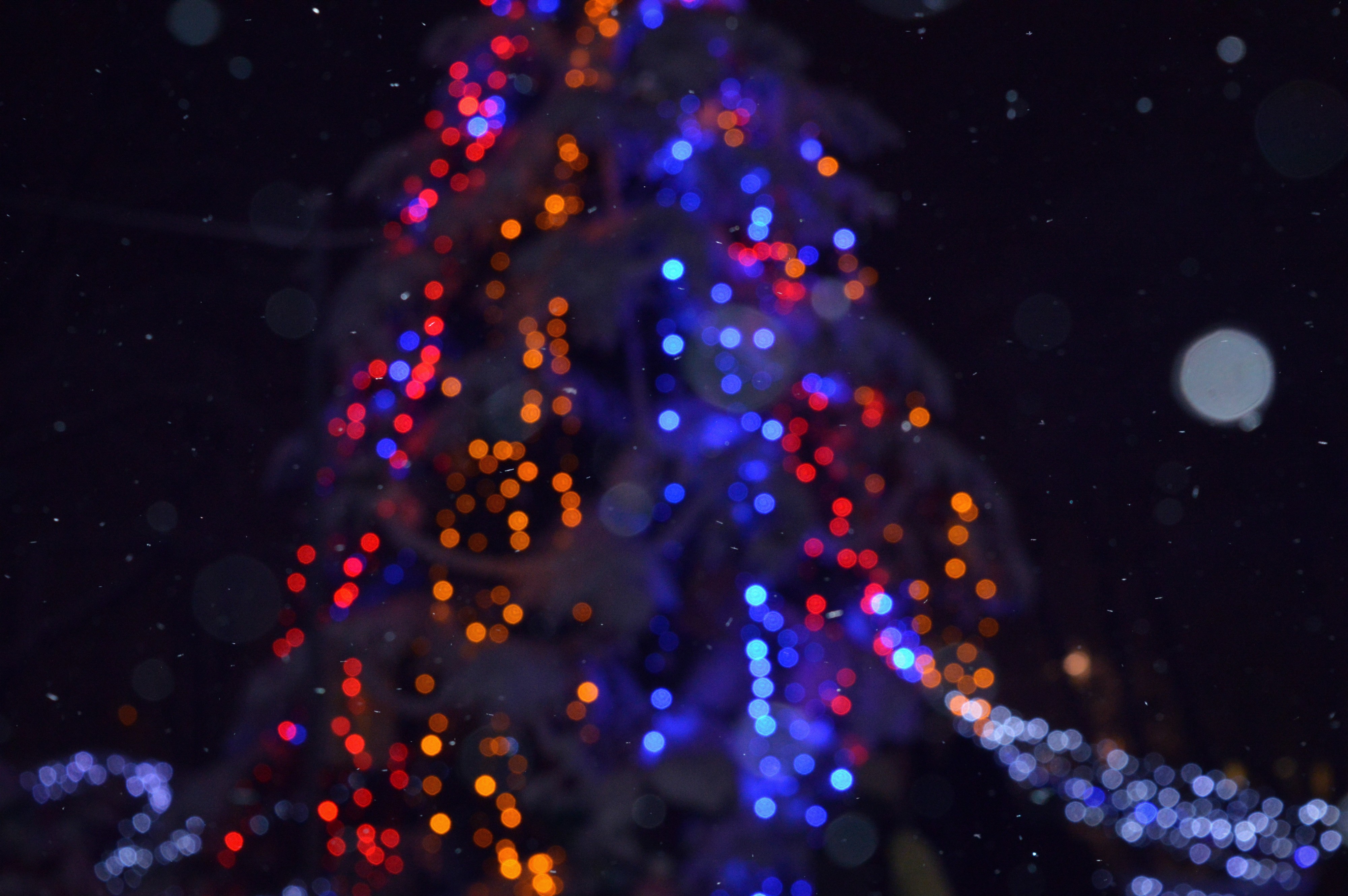 Christmas LEDs Blurred Lights 4000x2659