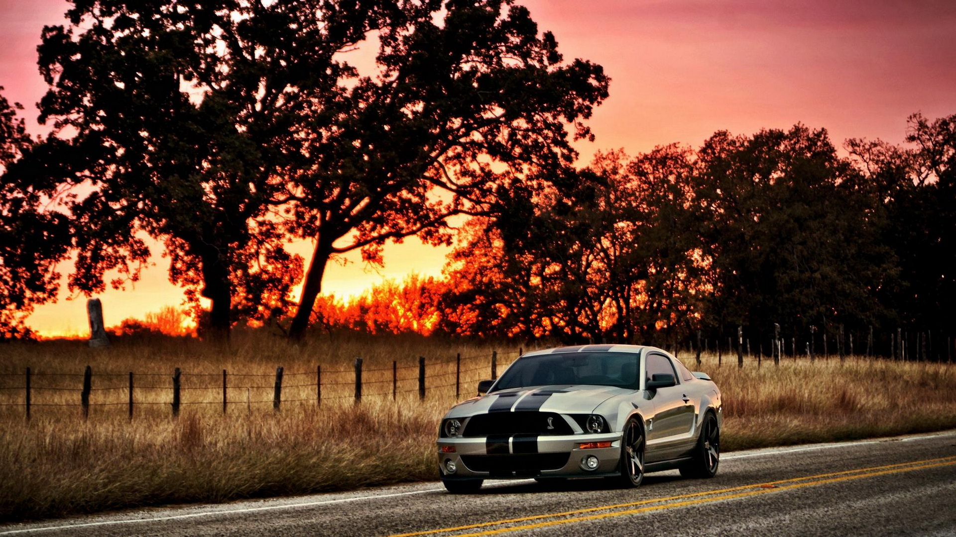 Vehicles Ford Mustang Shelby 1920x1080