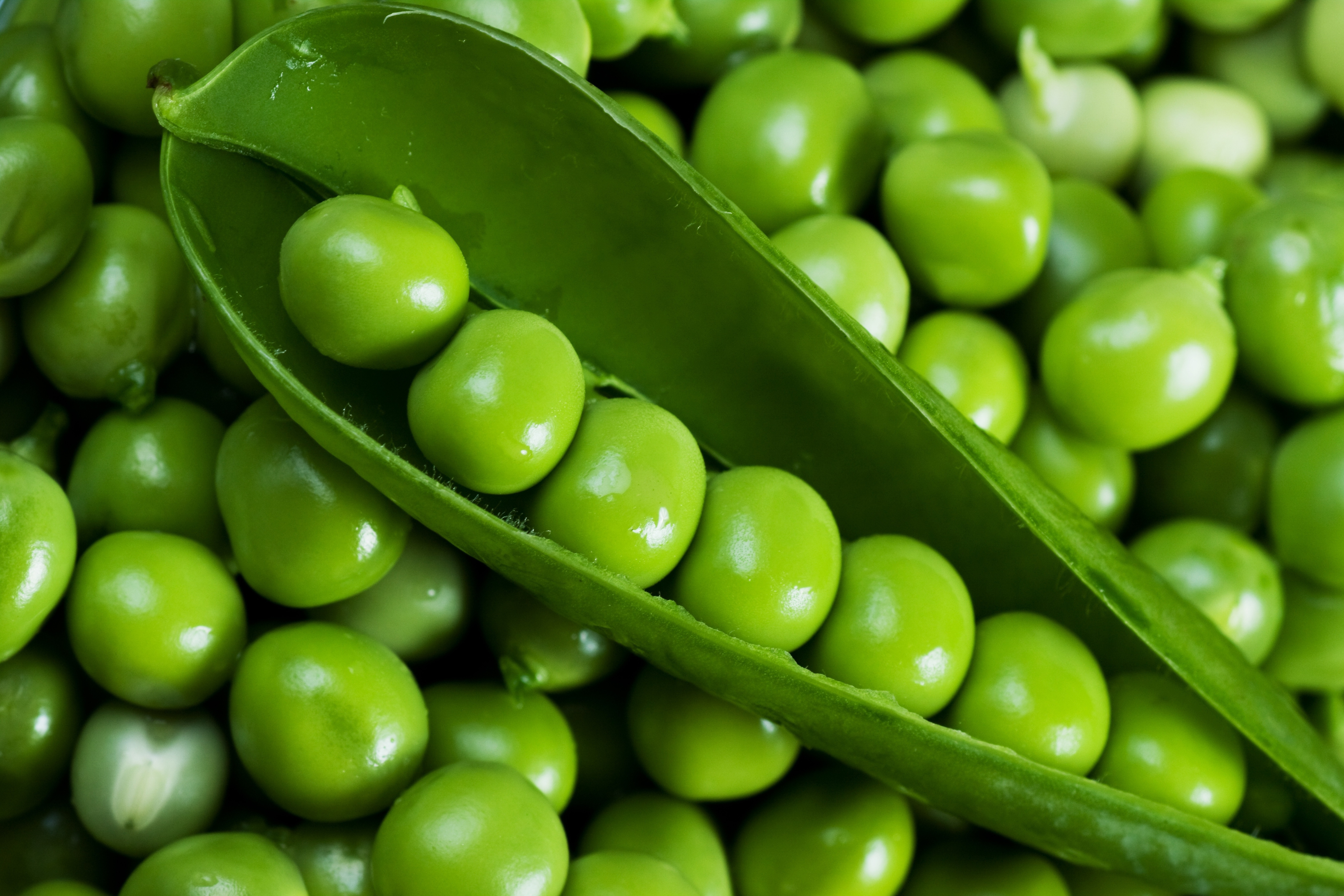 Food Pea 6600x4400