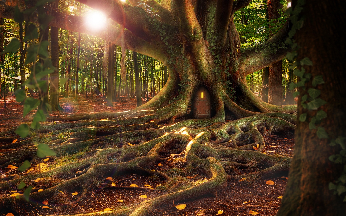 Nature Trees Branch Leaves Photoshop Roots Fallen Leaves Sun Door Forest Treehouse Moss 1440x900