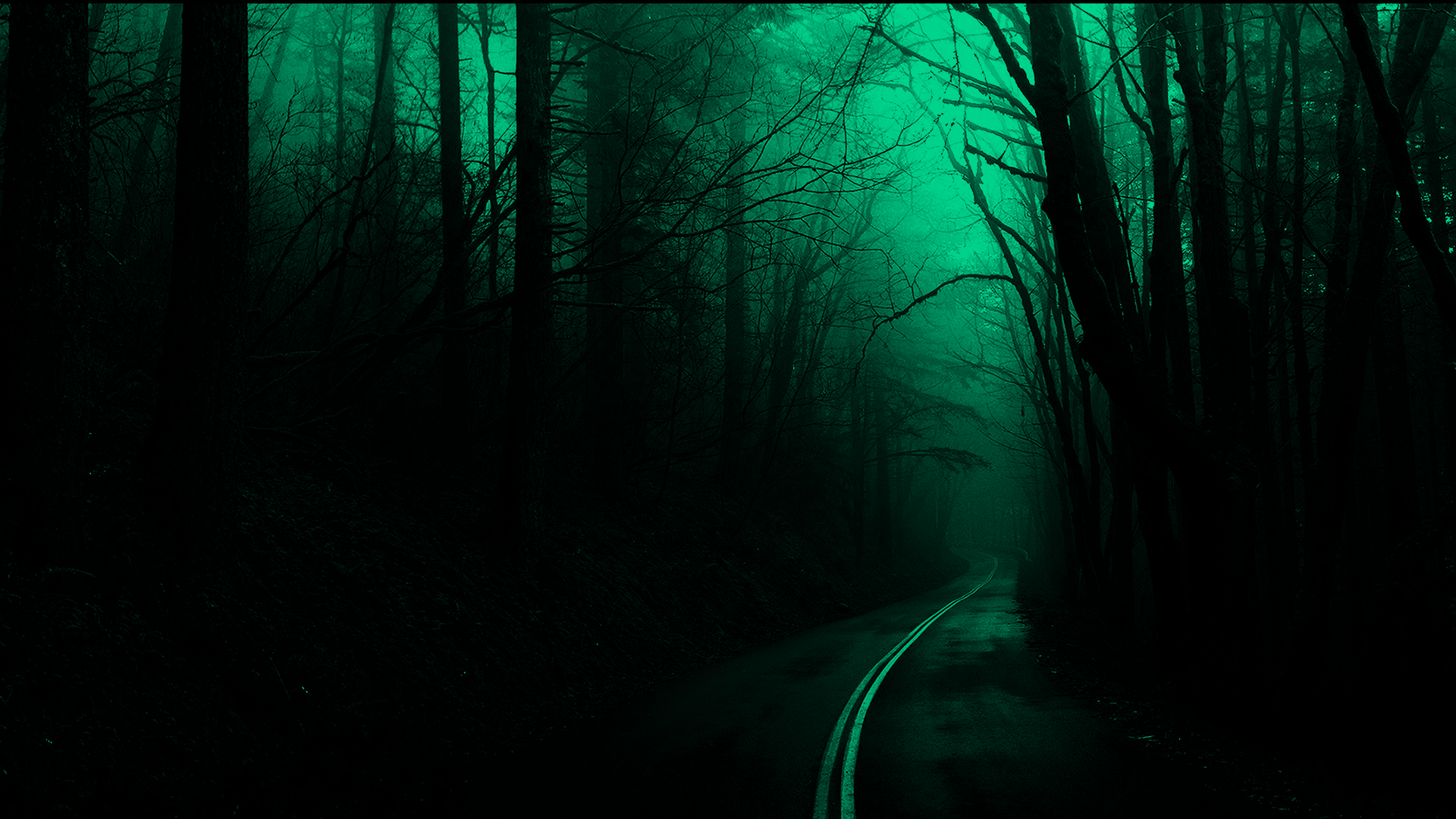 Spooky Night Dark Green Road Forest Deep Forest Mist 1920x1080