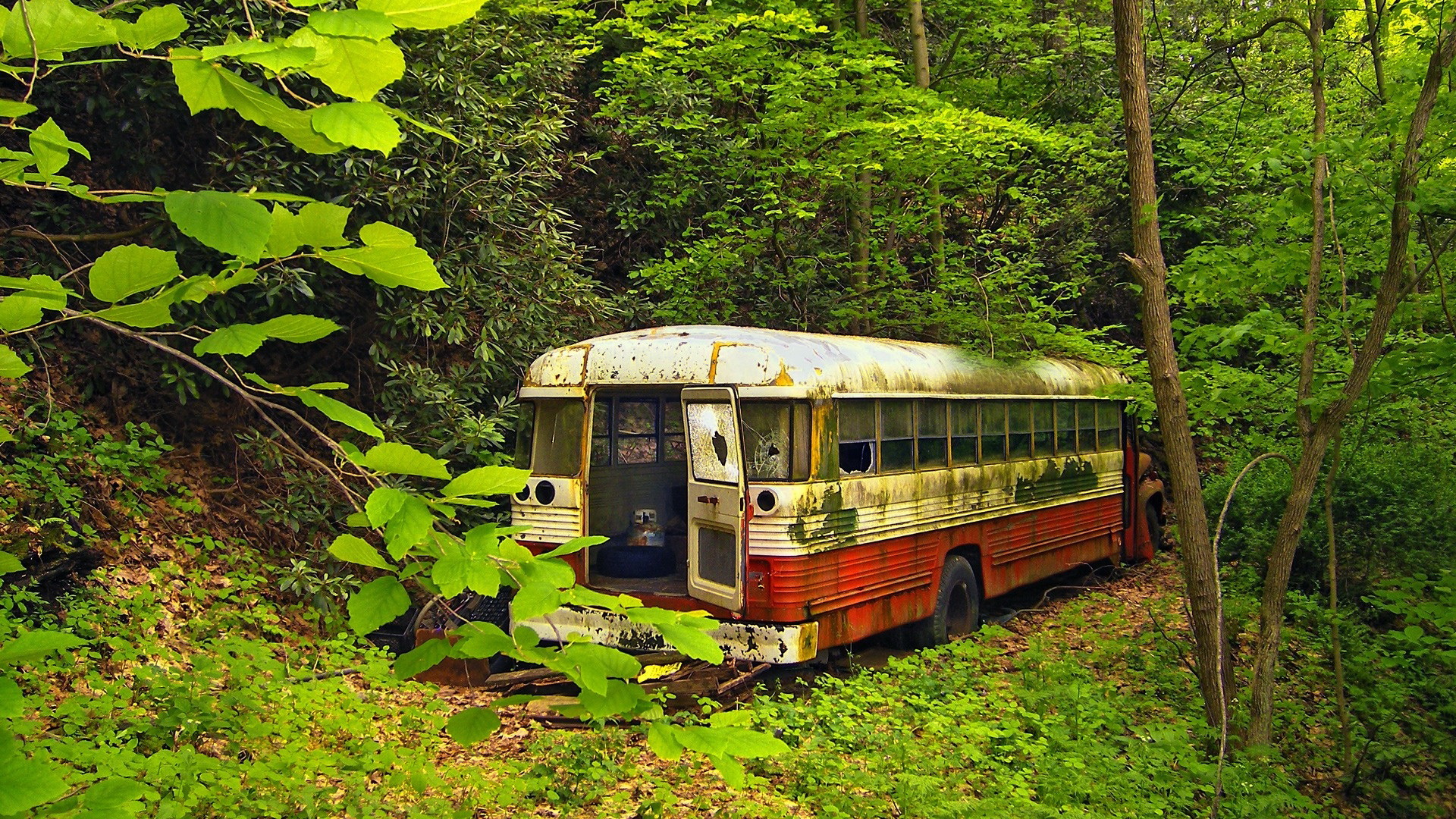 Vehicle Bus 1920x1080