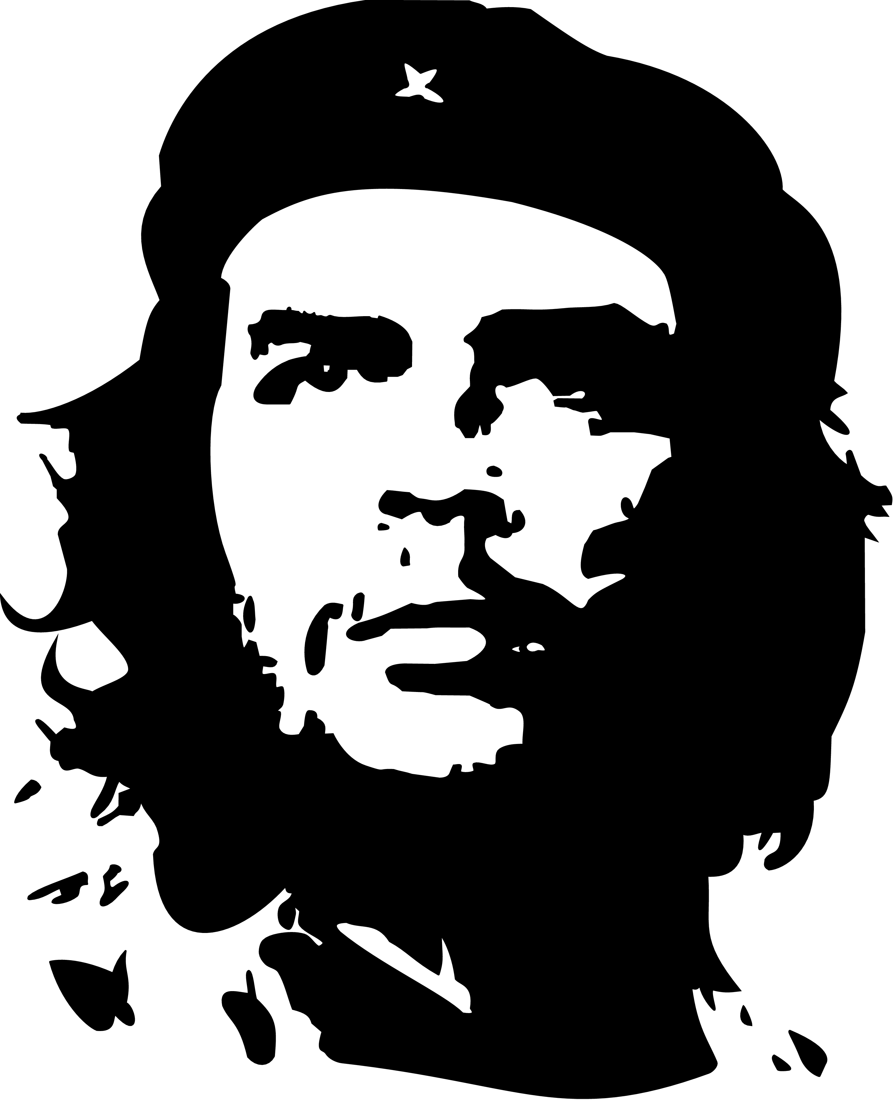 Che Guevara Revolutionary 2890x3556