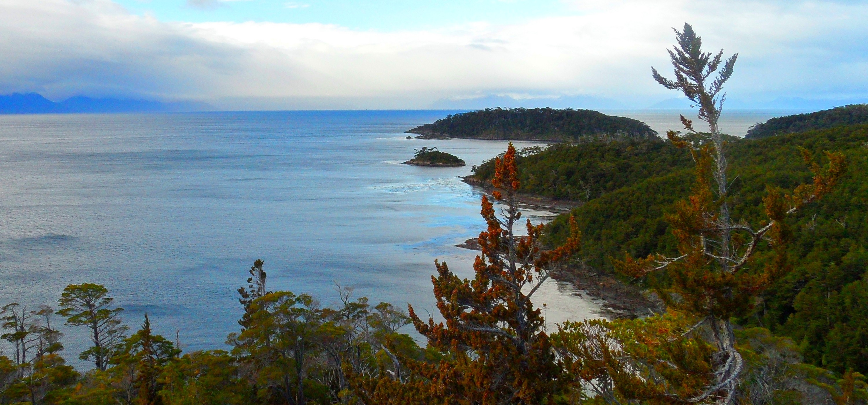 Nature Landscape Photography Peninsula Island Forest Hills Sea Trees Clouds Beach Patagonia Chile 3000x1400