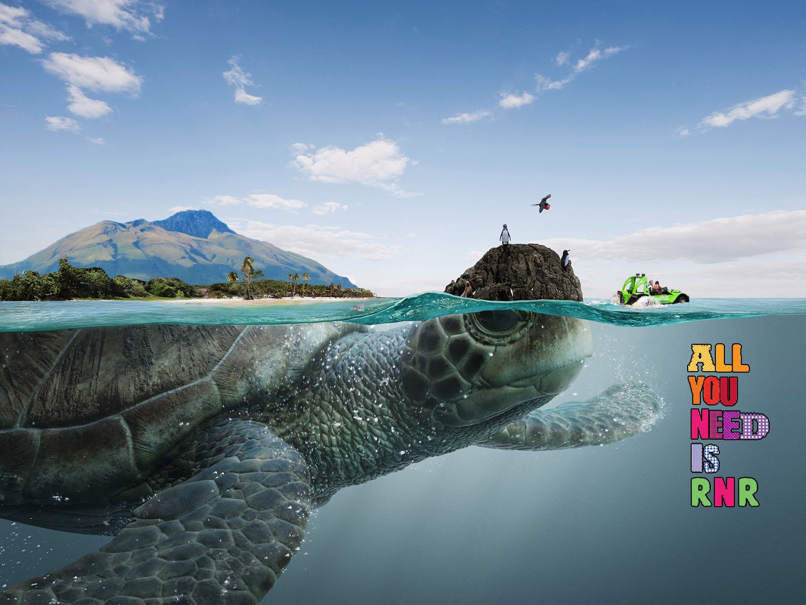 Turtle Split View Sea Photo Manipulation 1600x1200