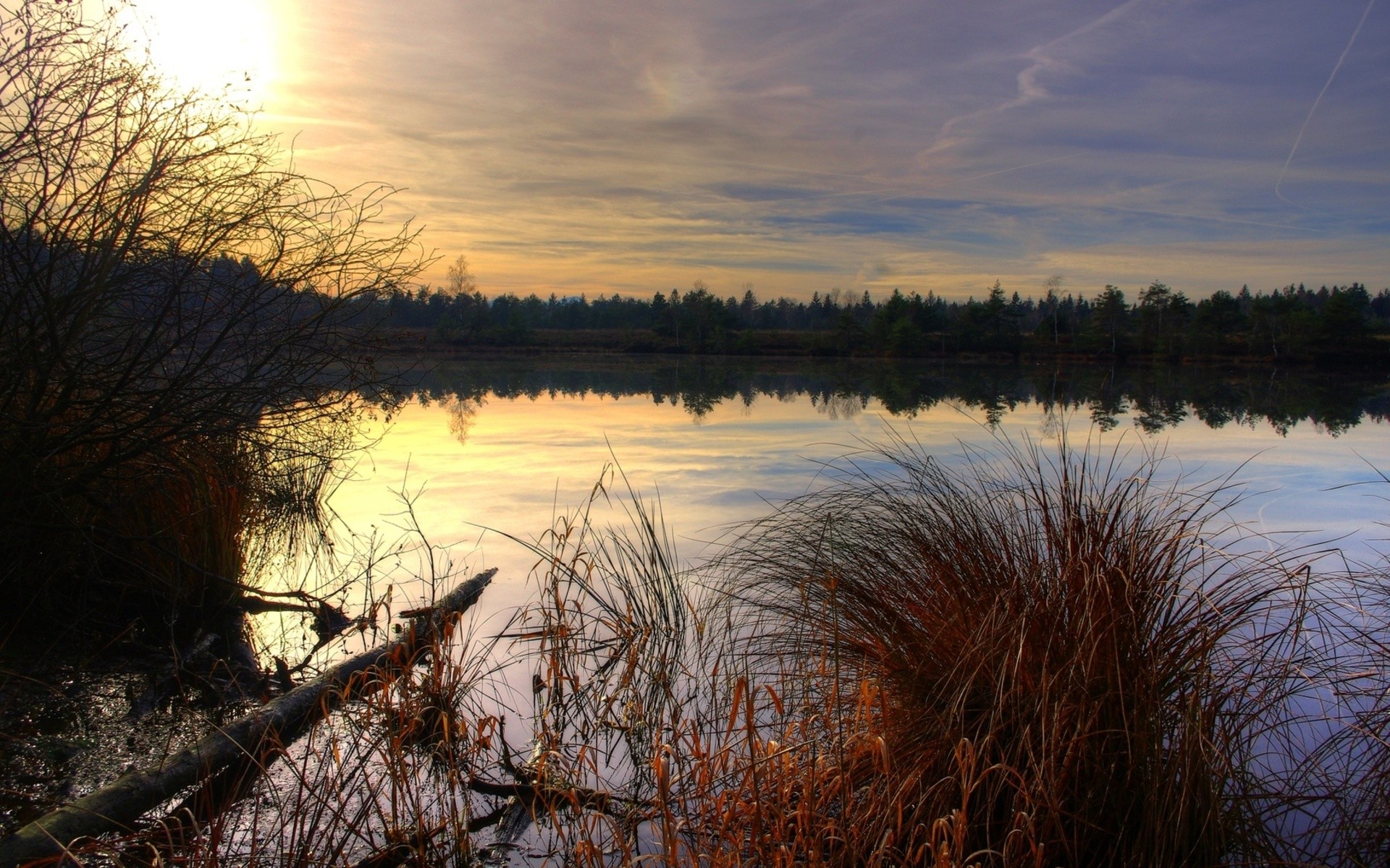 Nature Landscape Reeds Sunset Reflection Lake Calm Trees 1920x1200