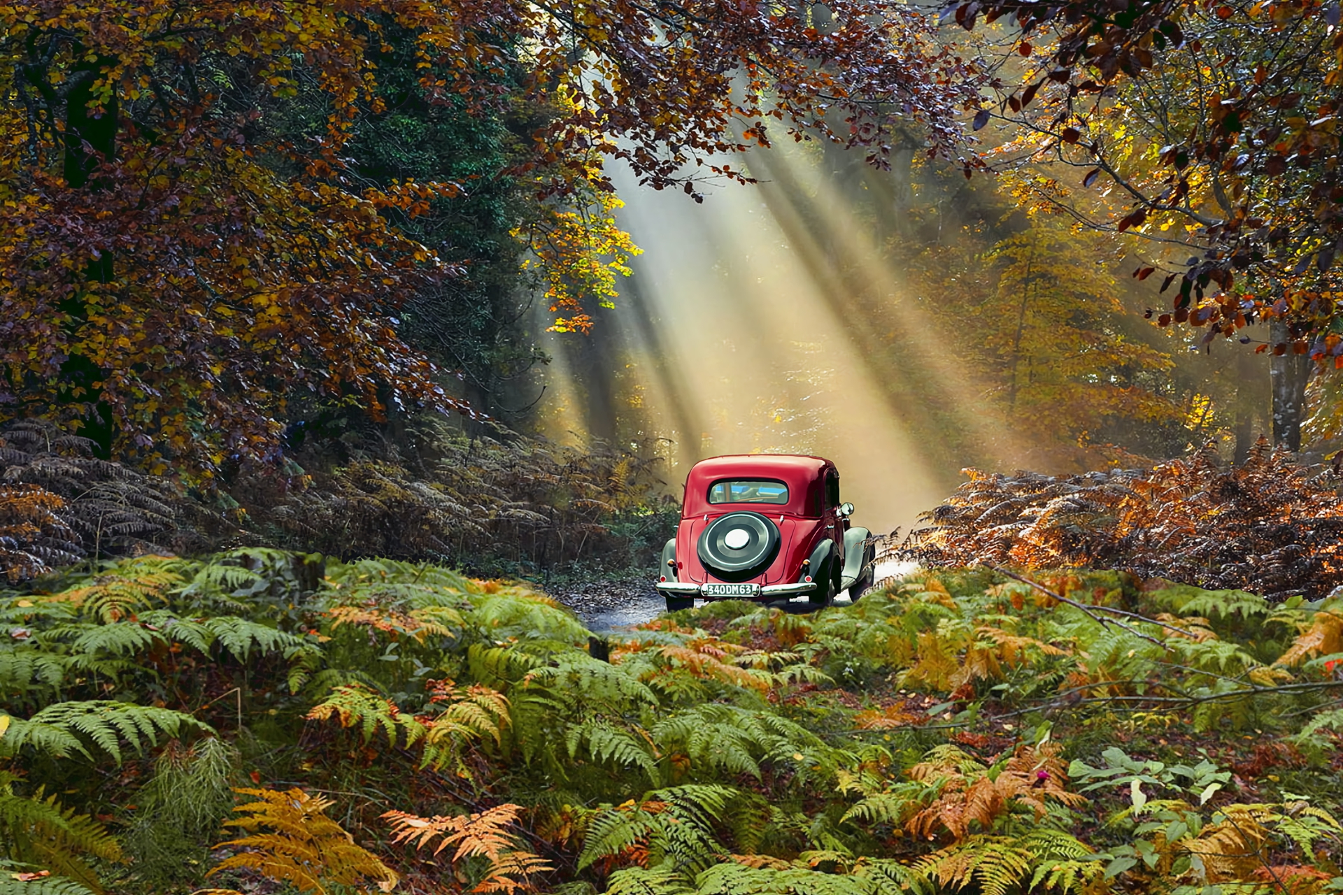 Vehicle Car Road Fall Foliage Vintage Car Sunbeam 1920x1280