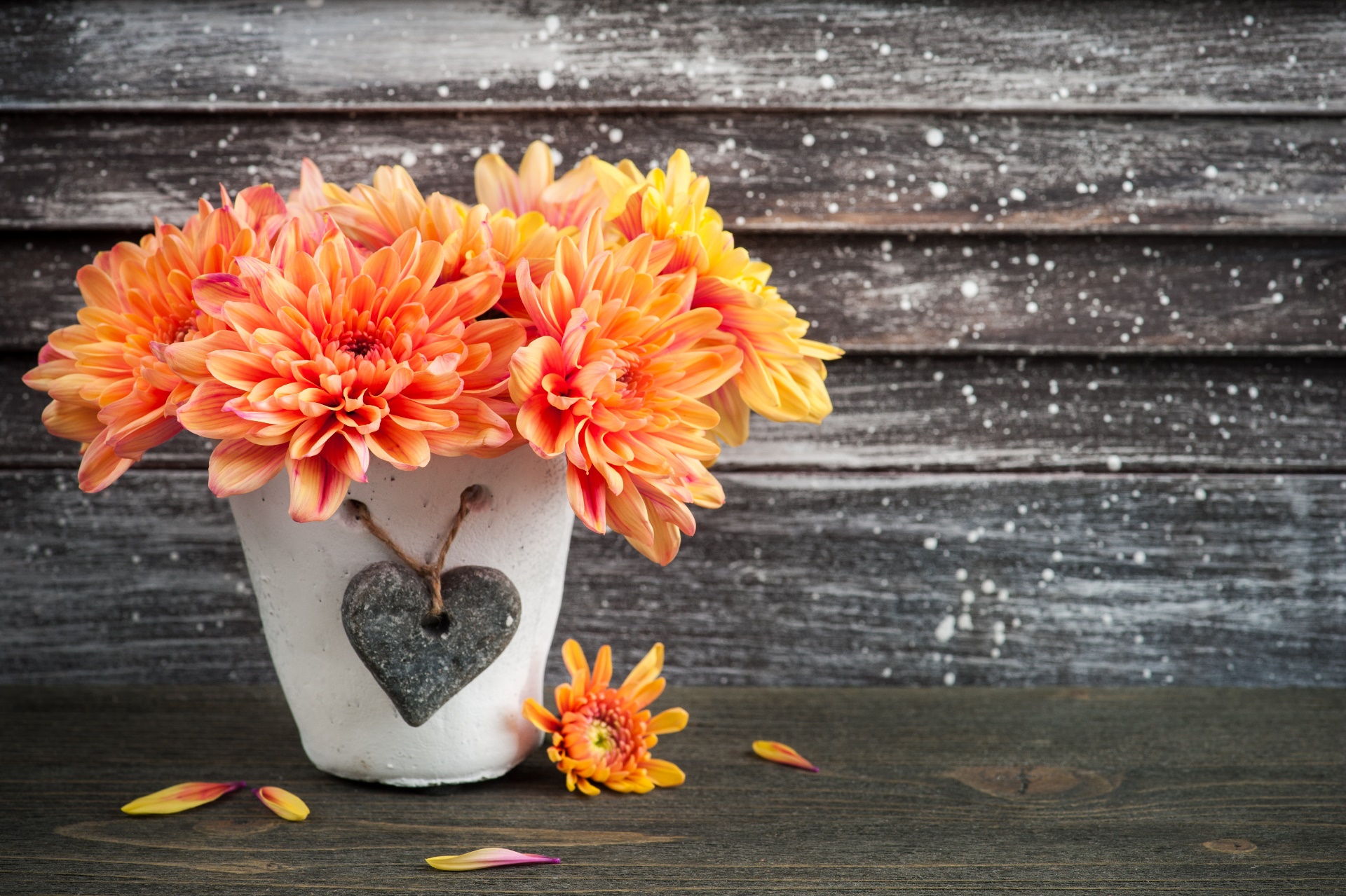 Orange Flowers Plants Flowers Wooden Surface 1920x1279