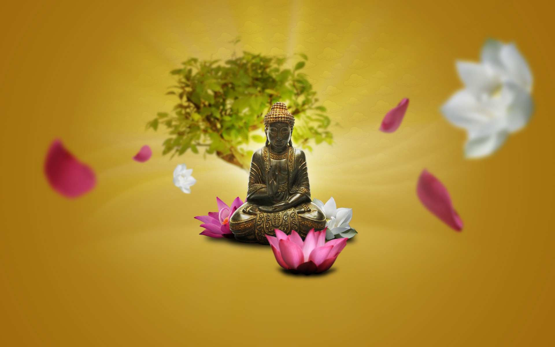 Zen Buddha Meditation Lotus Flowers 1920x1200