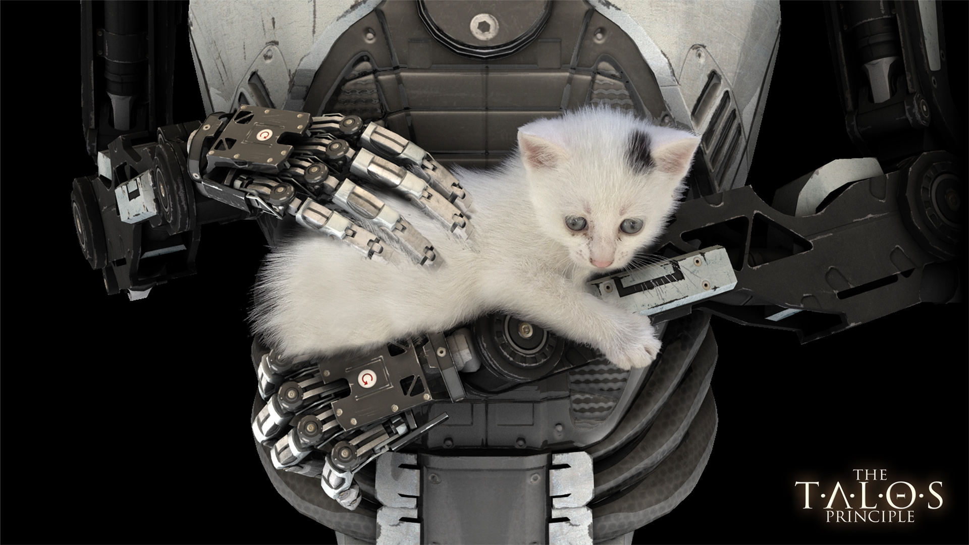 The Talos Principle Cats Robot 1920x1080