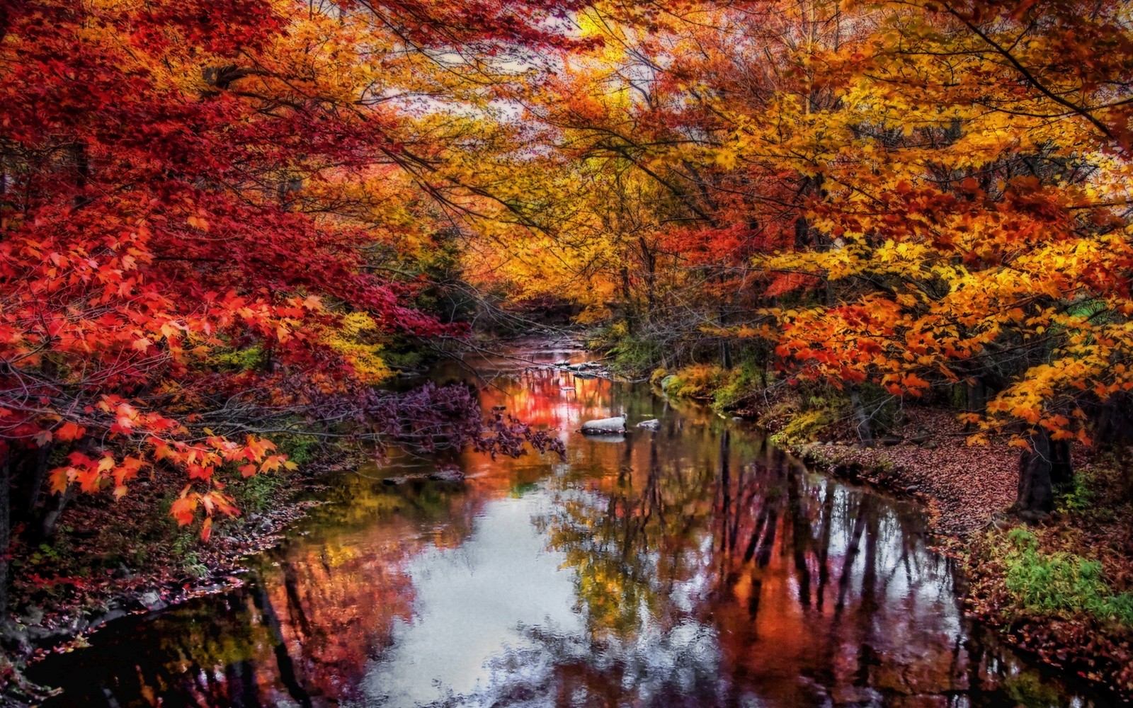 Nature Landscape River Leaves Colorful Trees Fall Water Reflection Foliage Maine 1600x1000