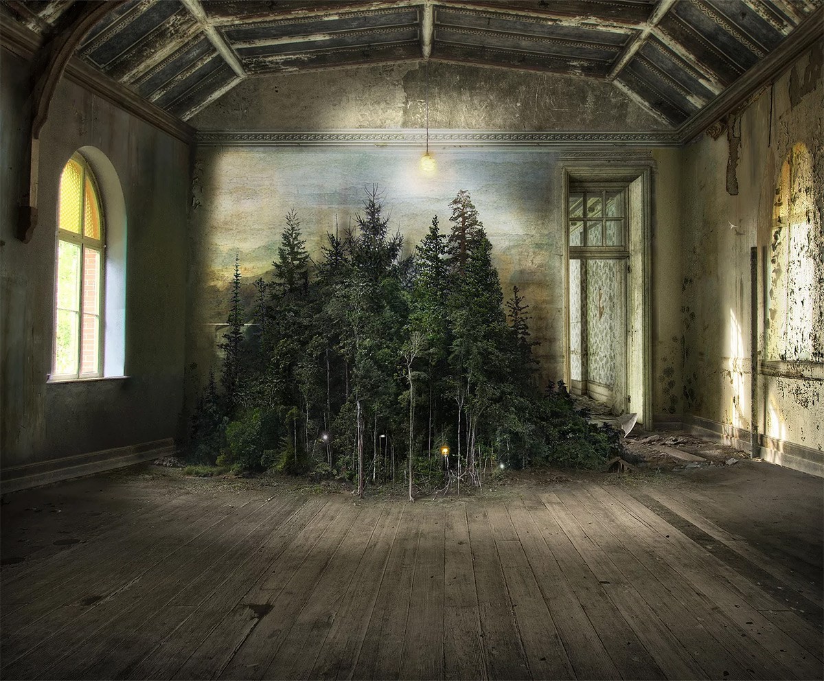 Nature Trees Forest Branch Photo Manipulation Artwork Pine Trees Interior Abandoned Wooden Surface P 1200x992