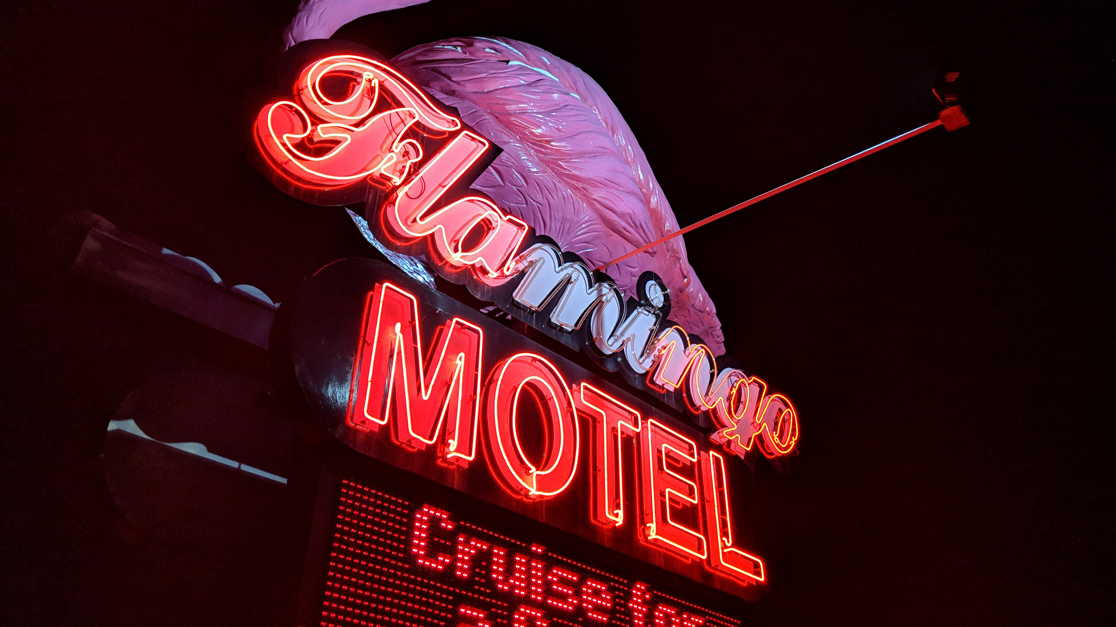 Flamingos Neon Glow Neon Sign Neon Sign Motel Low Angle 3840x2160