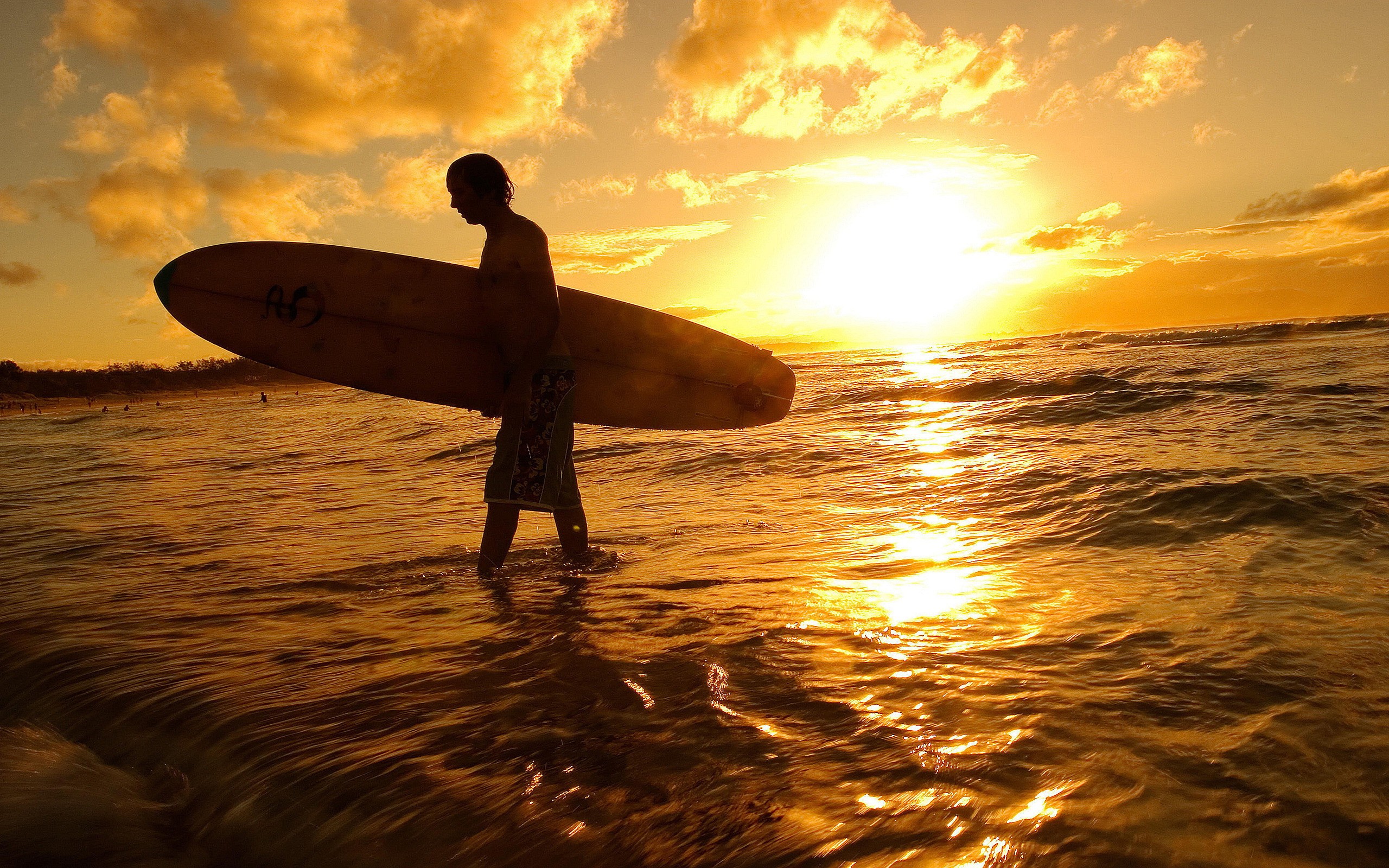Landscape Surfboards Sunset Men 2560x1600