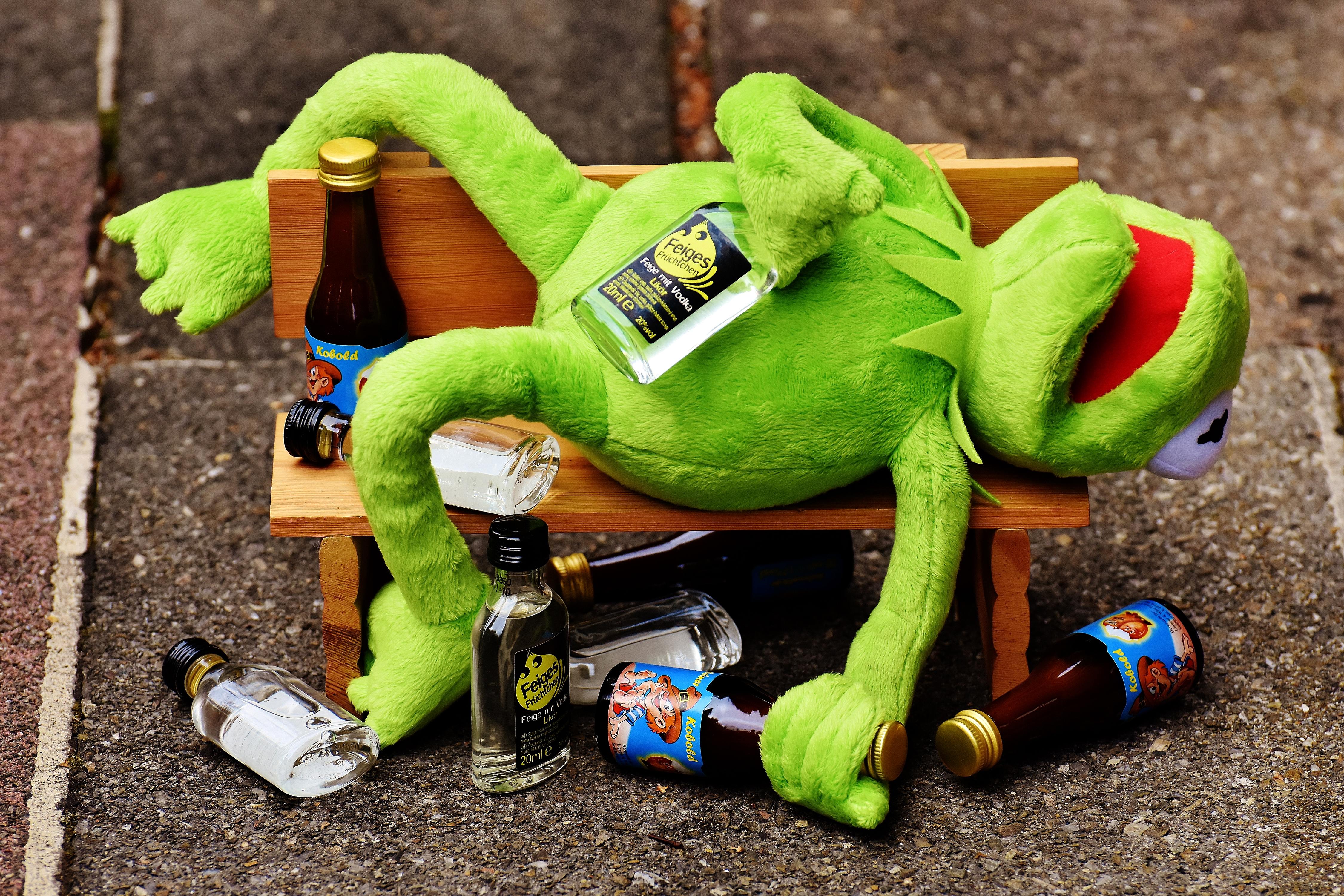 Frog Humor Alcohol Kermit The Frog 4500x3000
