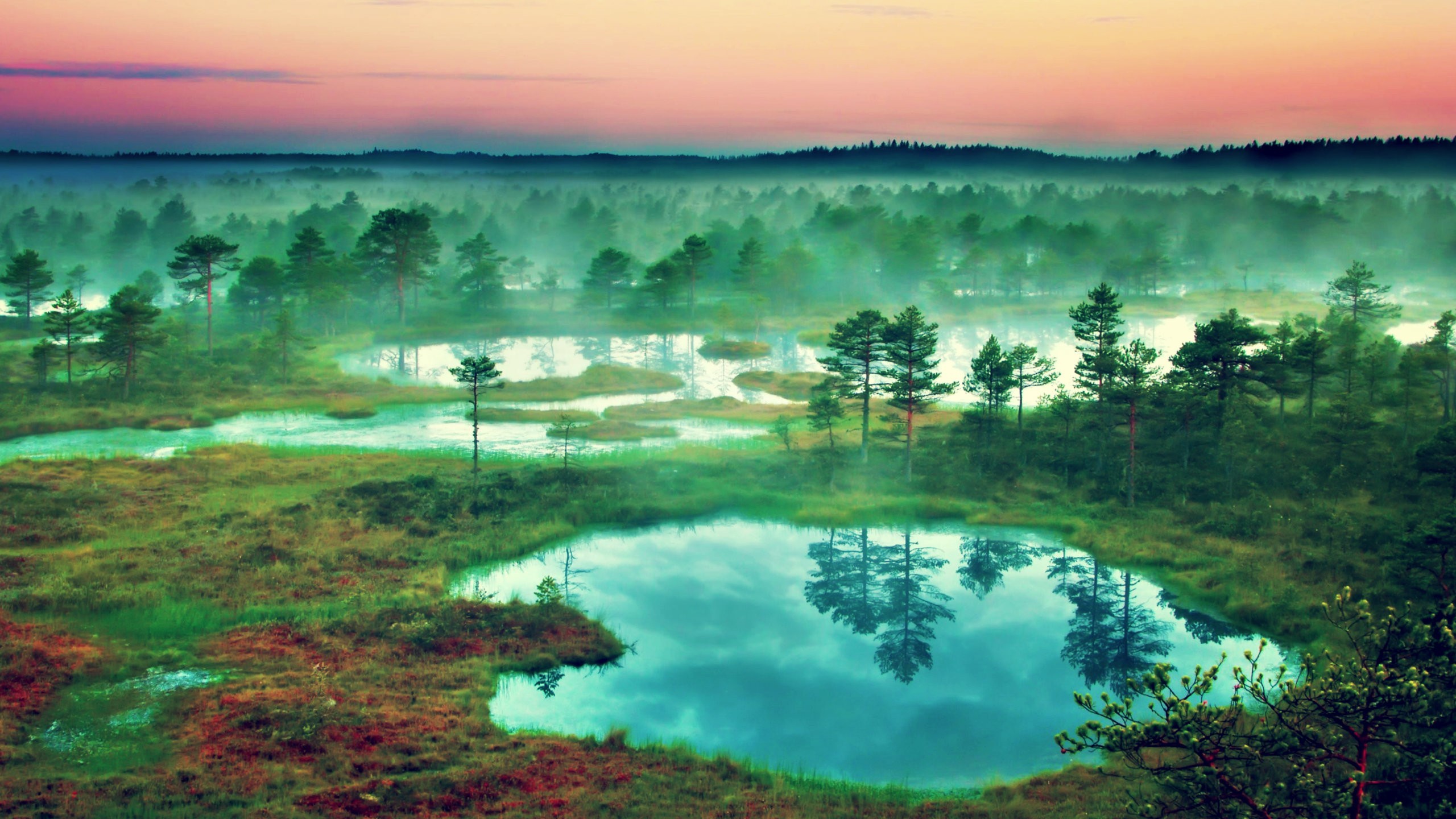 Landscape Nature Estonia 2560x1440