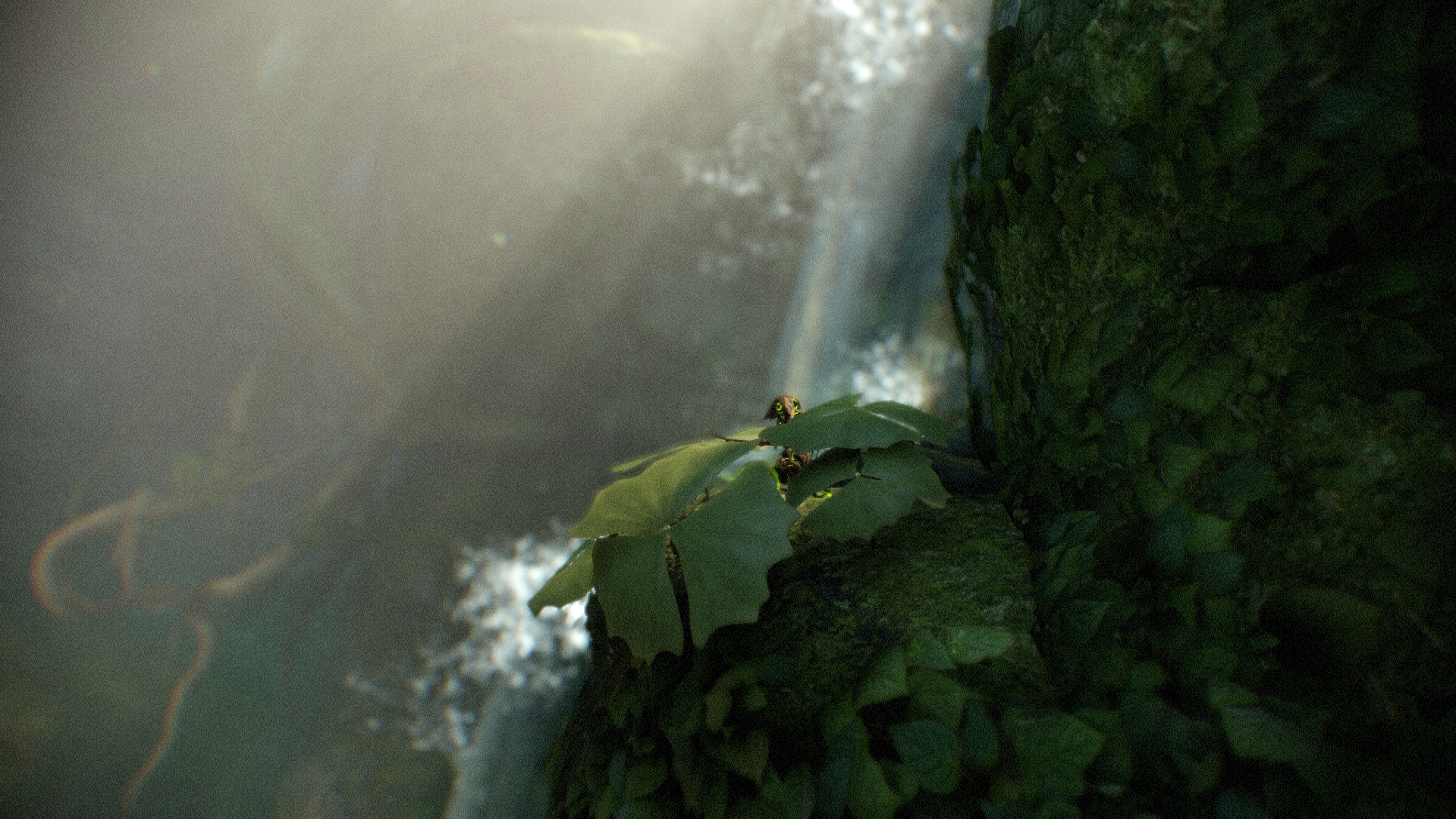 Warframe Ivara Waterfall Nature Leaves Water 1920x1080