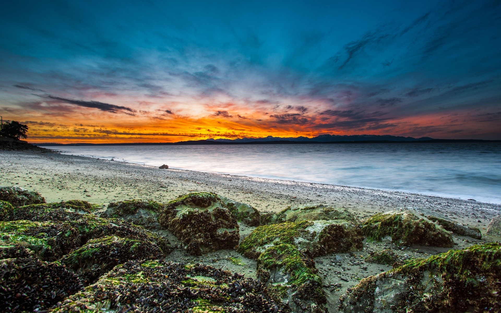 Nature Landscape Sunset Coast Beach Seaweed Stones Long Exposure Waves Water Sea 1920x1200