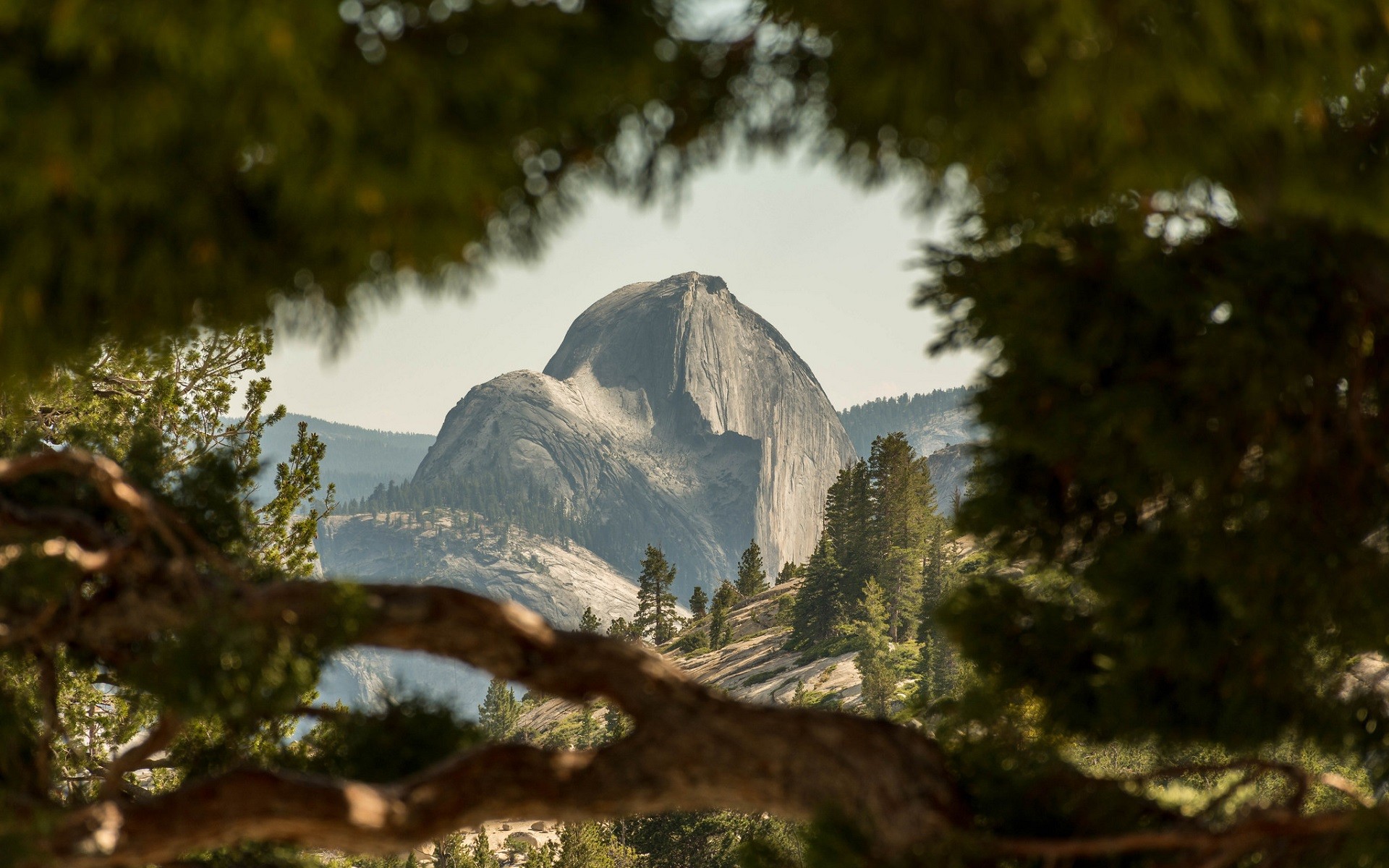 Nature Mountains Yosemite National Park Landscape USA Trees Depth Of Field Half Dome National Park 1920x1200