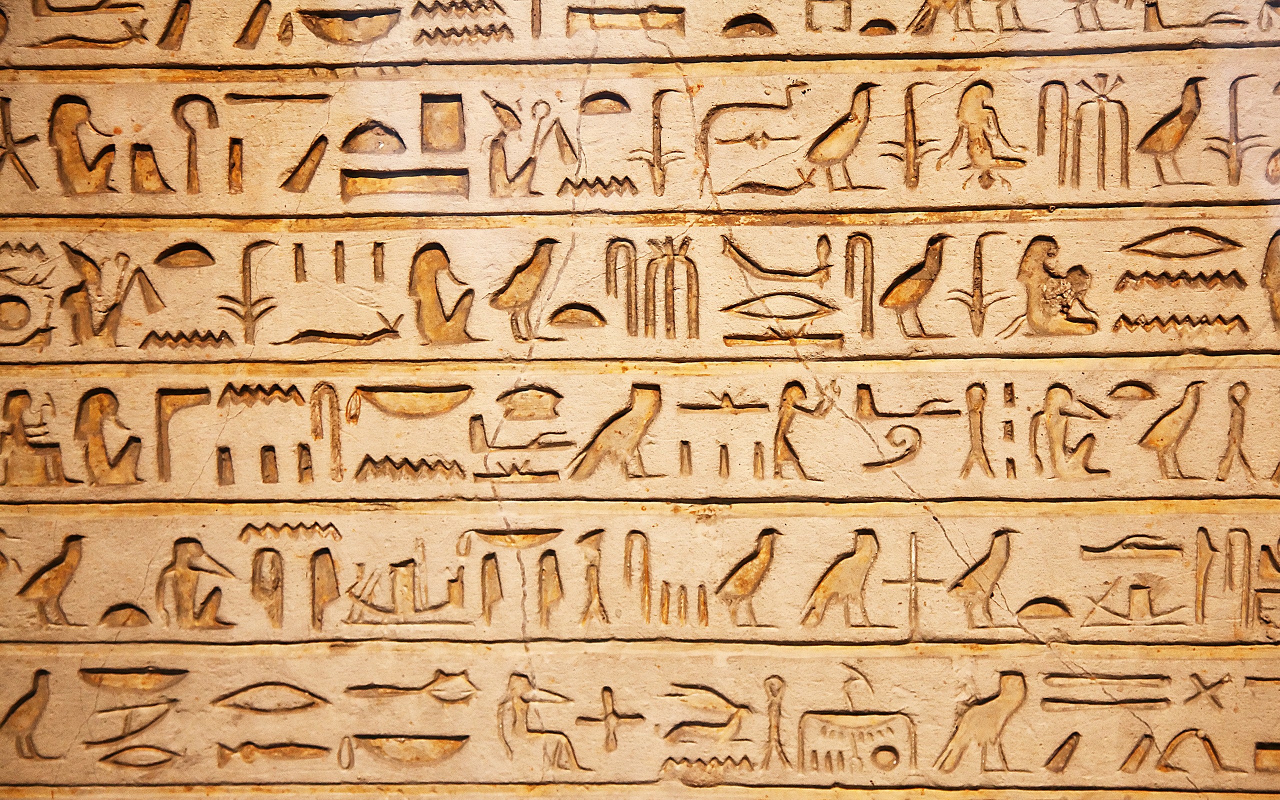 Hieroglyphics Egypt Ancient 2560x1600