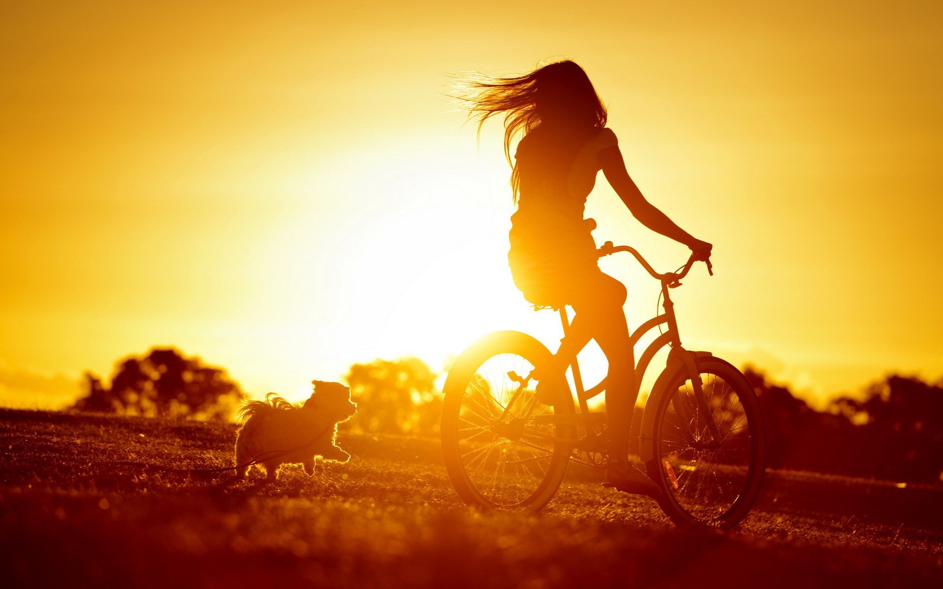 Sunset Women Bicycle Dog Sunlight Silhouette Women With Bicycles 1920x1200