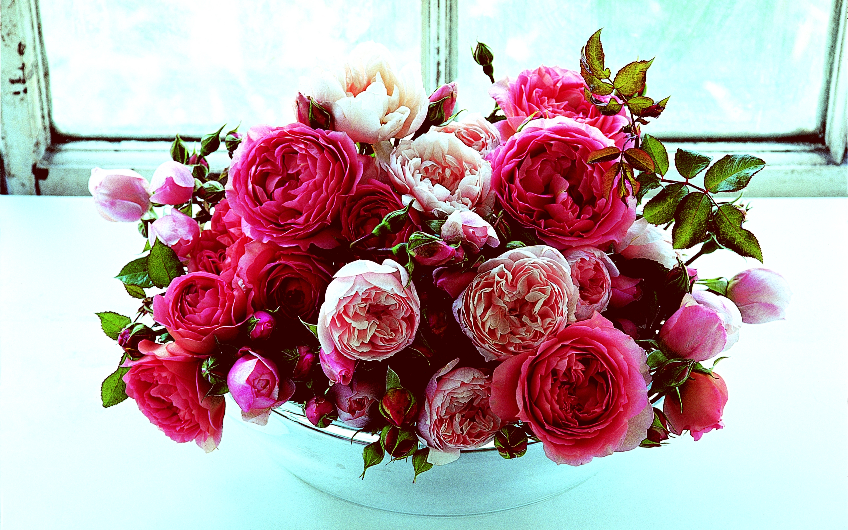 Rose Flower Pink Rose Bowl 2880x1800