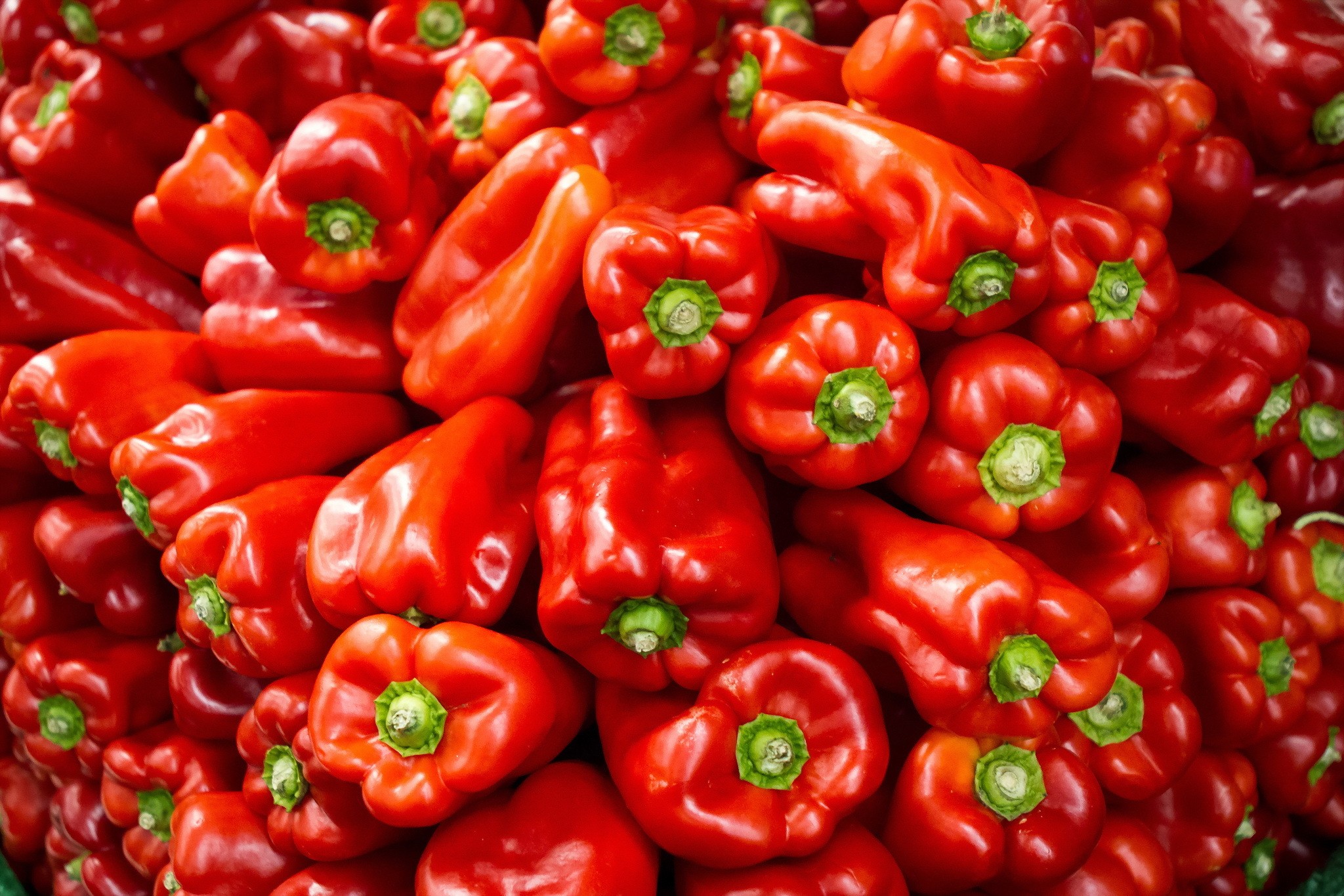 Red Food Vegetables Peppers 2048x1365