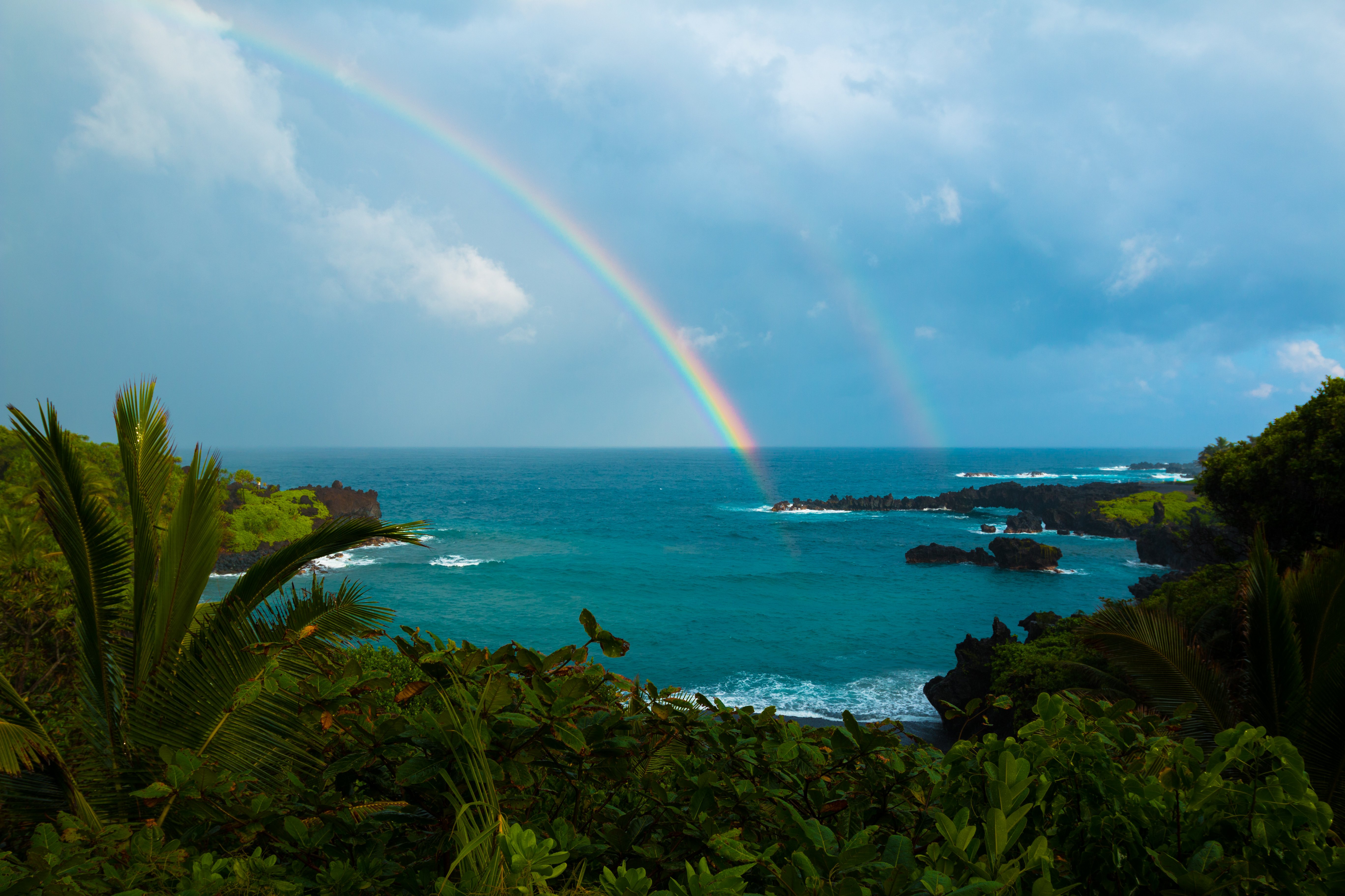 Rainbow Ocean Hawaii Tropical Shrub Palm Tree Nature Horizon 5472x3648