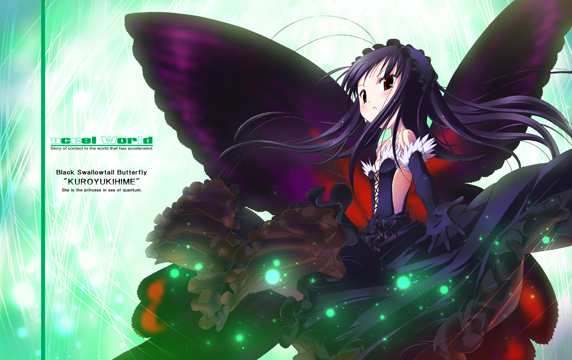 Kuroyukihime Accel World Black Lotus Accel World 1920x1208