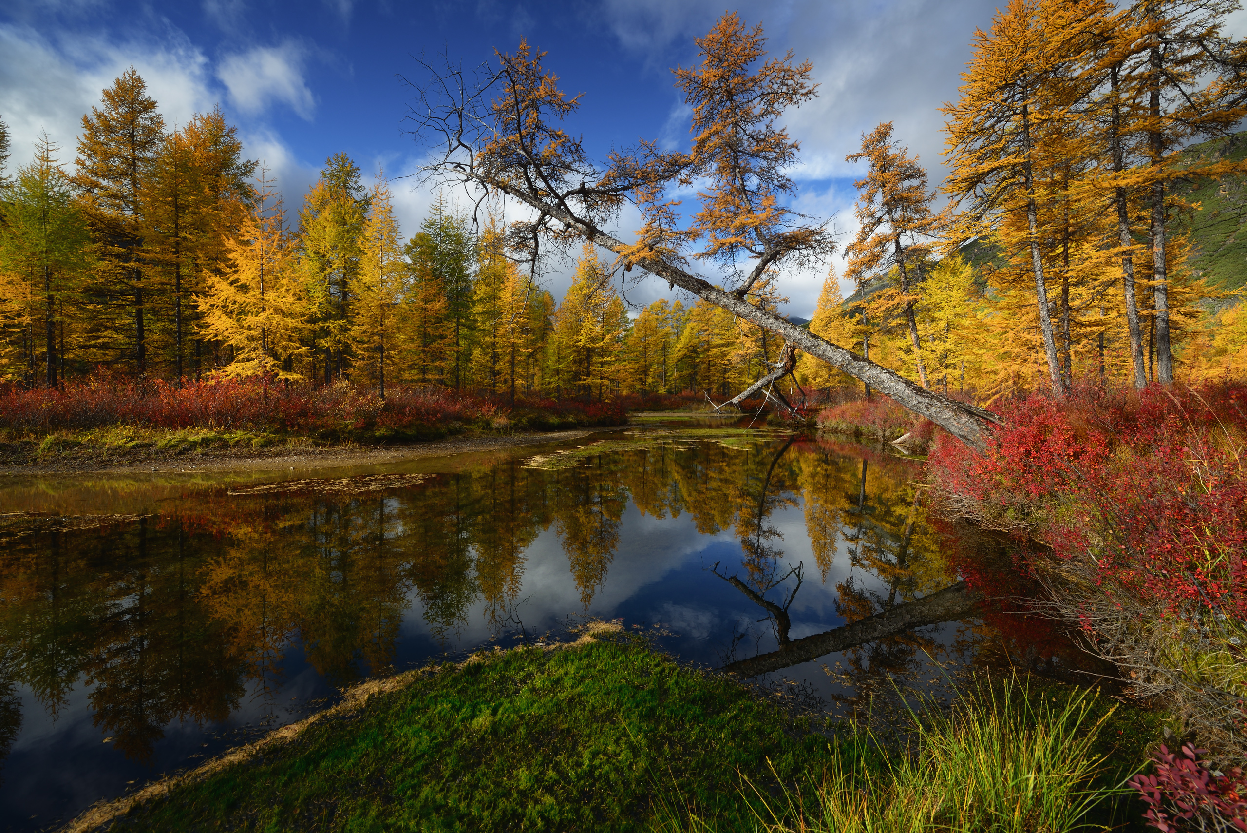 Landscape Nature Sky Clouds Water River Reflection Forest Trees Fall Log Shore Maxim Evdokimov Witho 2560x1709