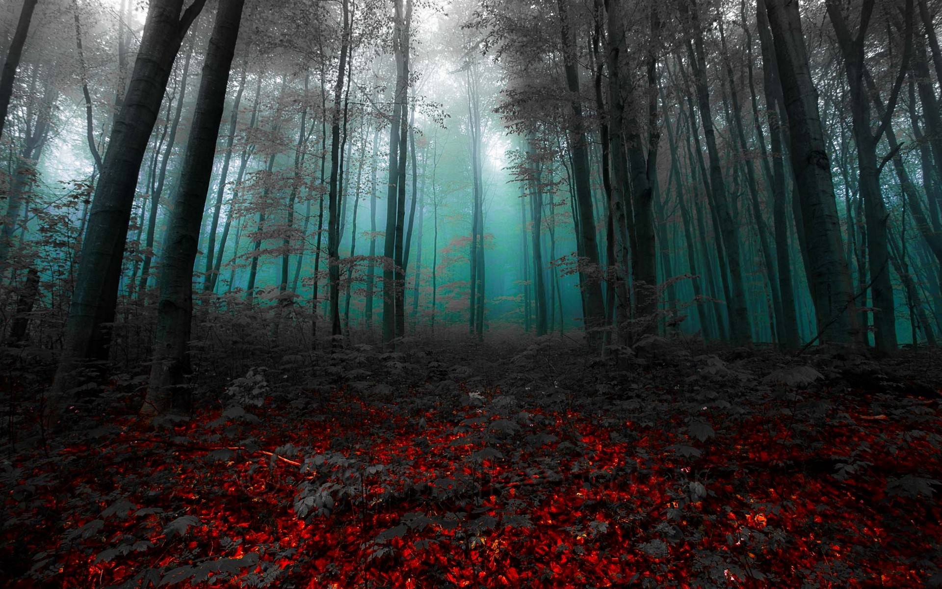 Magic Fairy Tale Nature Landscape Mist Red Gray Shrubs Trees Morning Turquoise 1920x1200