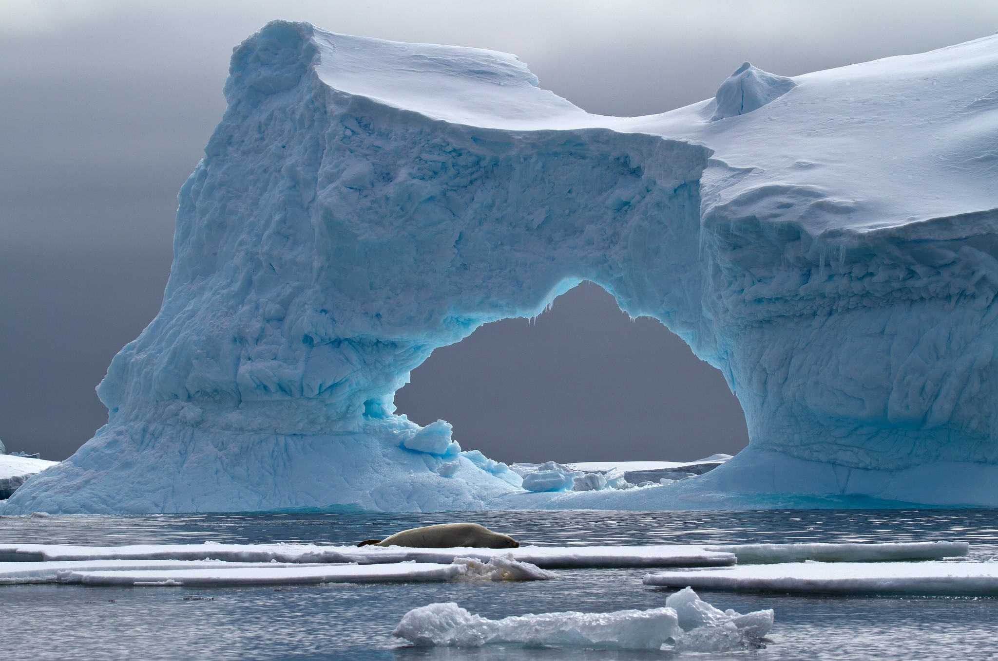 Iceberg Landscape Nature Sea Seals 2048x1358