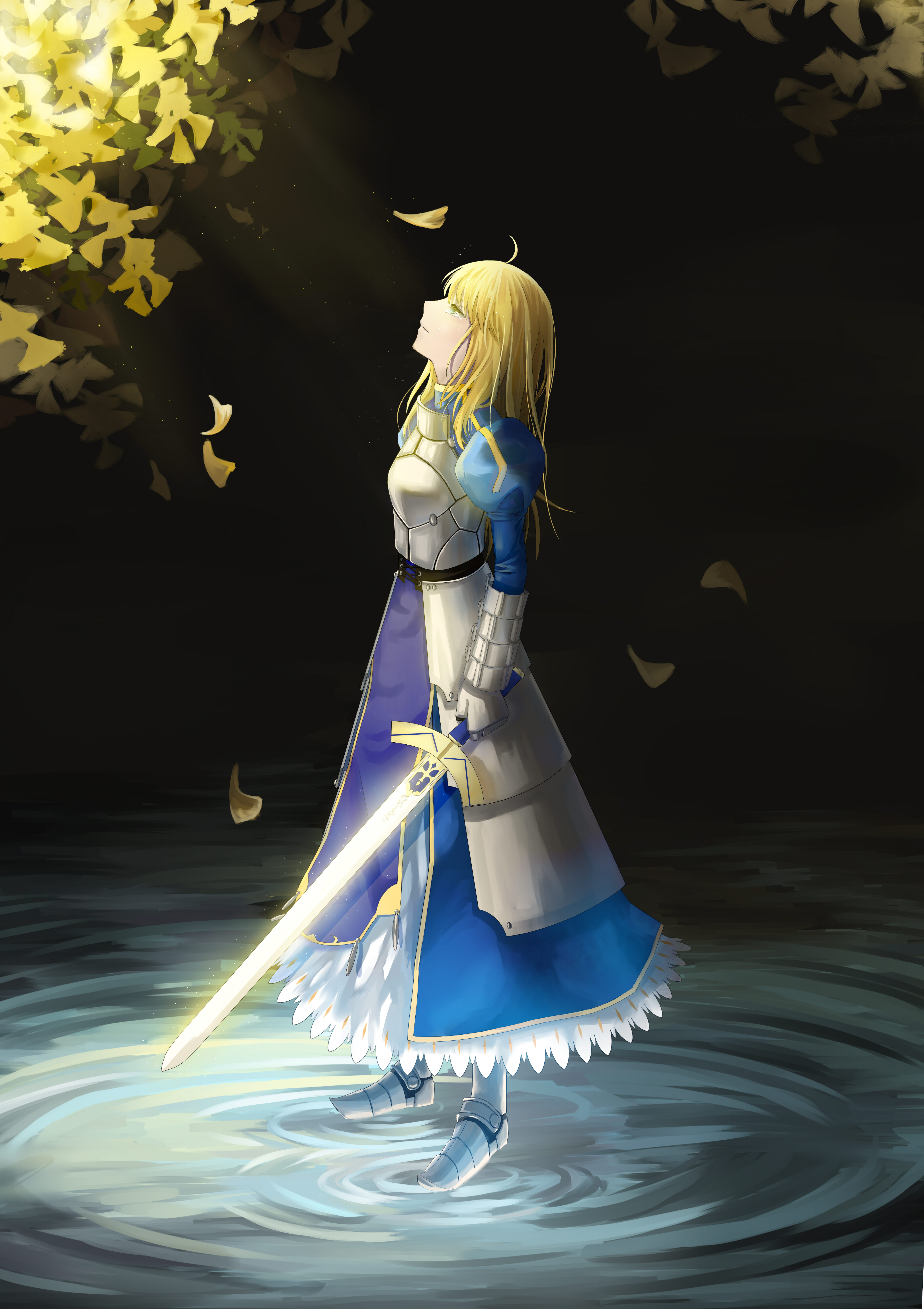 Fate Series FGO Fate Stay Night Fate Zero Anime Girls 2D Female Warrior Long Hair Women With Swords  4169x5905