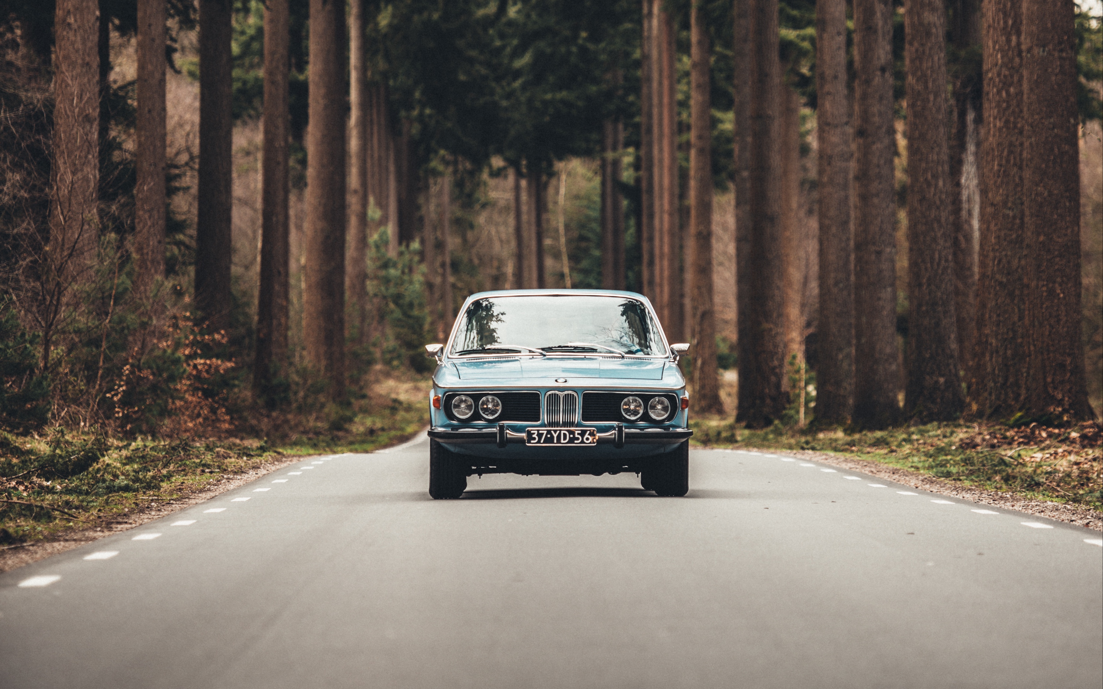 Car BMW Forest Road BMW E9 Frontal View Trees 3840x2400