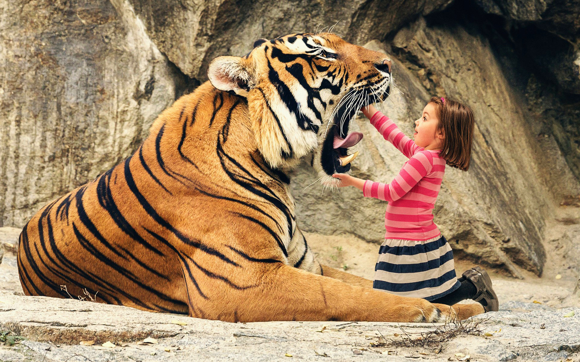 Humor Animals Tiger Open Mouth Muzzles Wild Cat Children Dangerous Photo Manipulation Fangs Striped  1920x1200